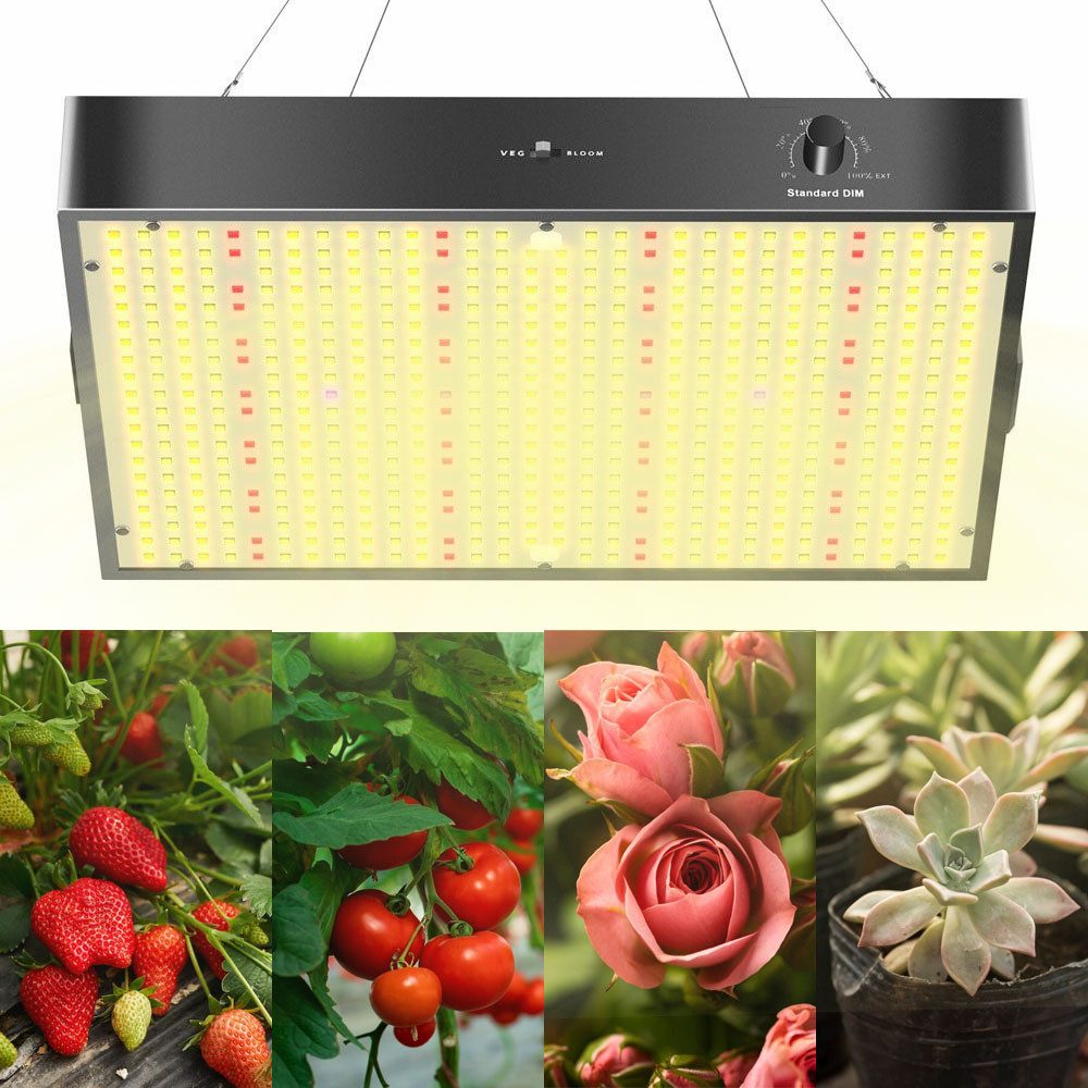 JOYOLEDER Pflanzenlampe 100/200W LED Grow Lampe günstig online kaufen