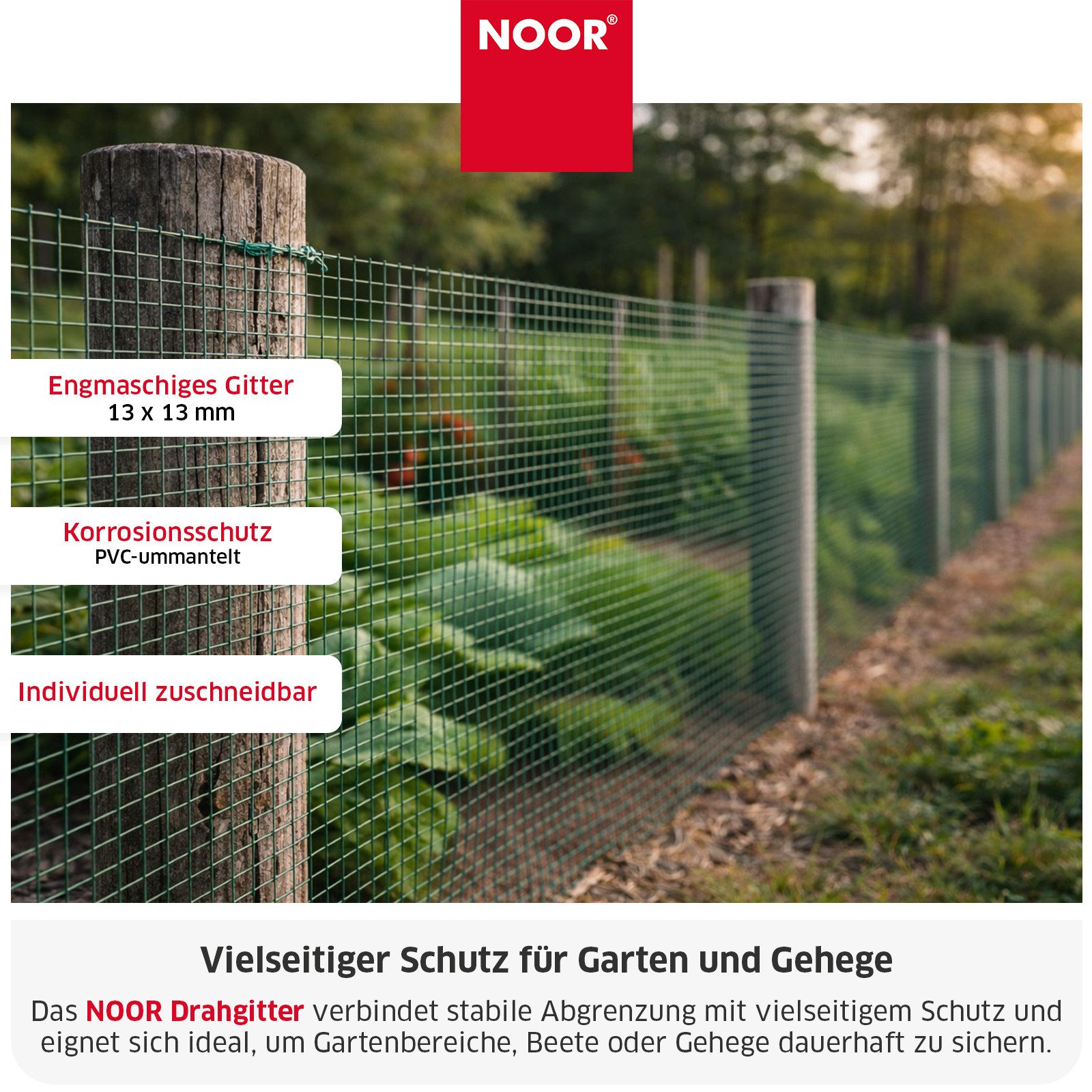 NOOR Maschendrahtzaun Drahtgitter - Pflanzenschutz in verschiedenen Größen und Maschenweiten, Robuster Drahtzaun - flexibel einsetzbar für Garten & Tierbereiche