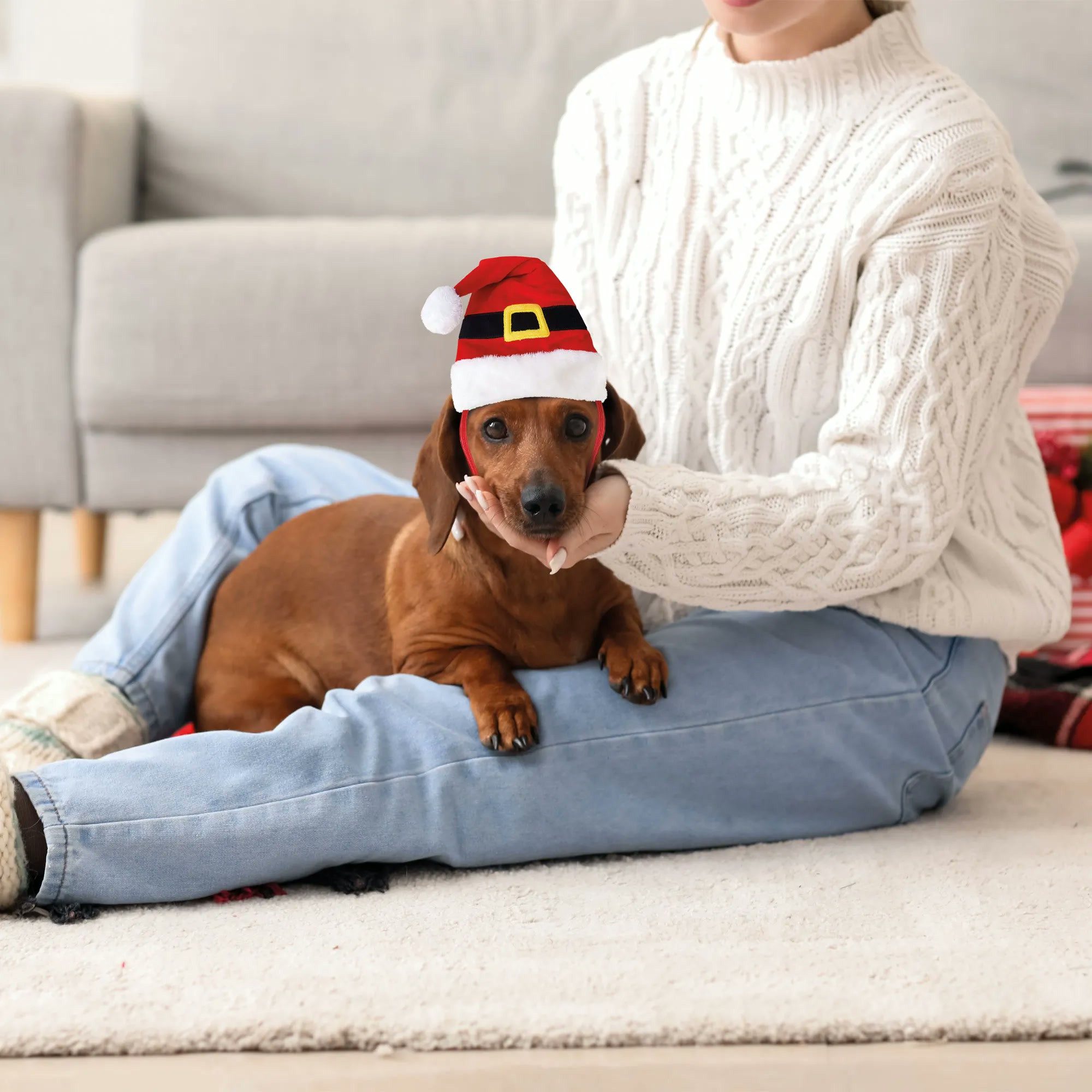 Nobby Hundekostüm Hunde-Weihnachtsmütze Santa