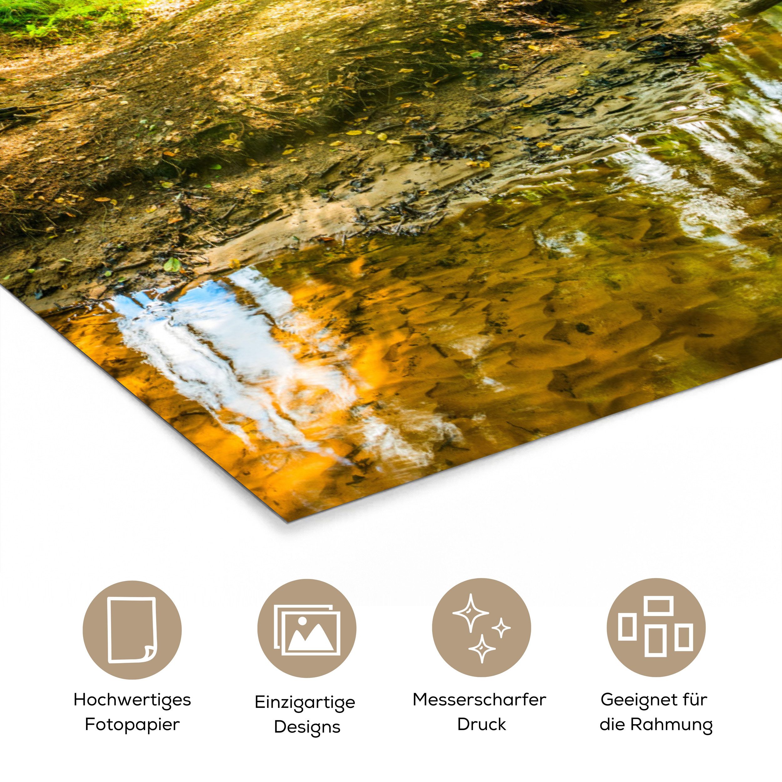 MuchoWow Poster Wald - Landschaft - Wasser - Bäume - Sonne - Grün - Natur, (1 St), Poster ohne Rahmen, Wandbild, Wandposter, 20x30 cm