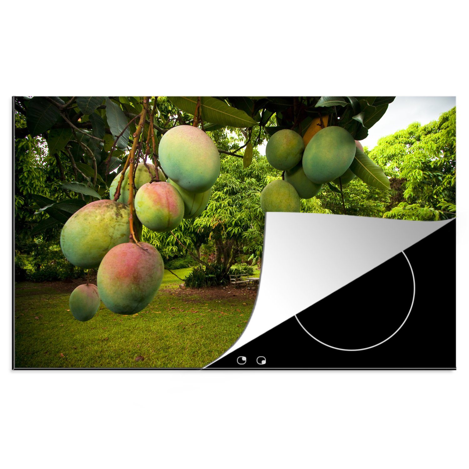 tlg), cm, für - (1 Obstbaum - die MuchoWow 81x52 küche, Vinyl, Grün, Schutz Ceranfeldabdeckung Mango Herdblende-/Abdeckplatte Induktionskochfeld