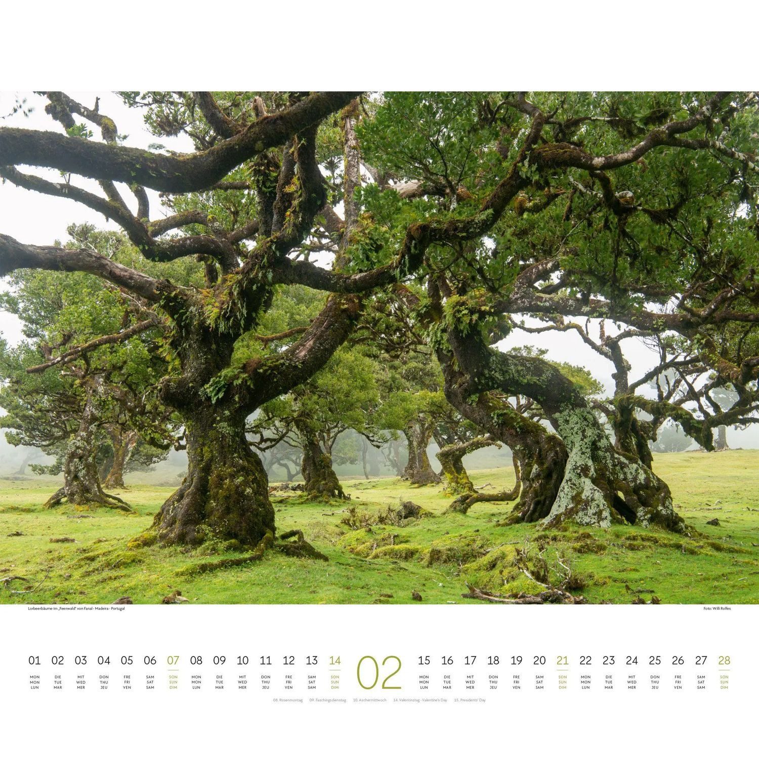 Ackermann Wandkalender Wald Kalender 2027