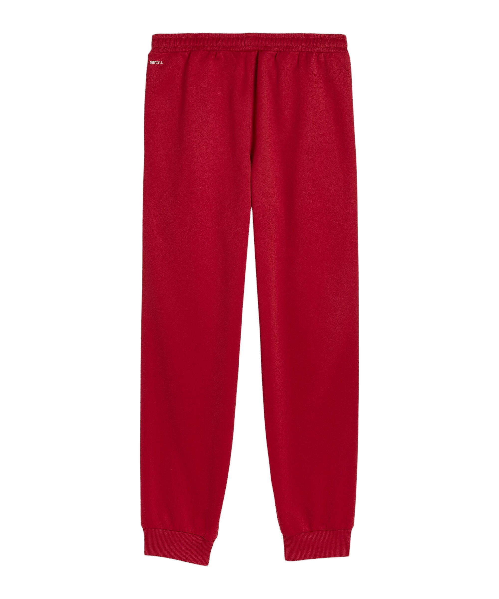 PUMA Jogginghose PUMA Galatasaray Istanbul KING Anthem Hose