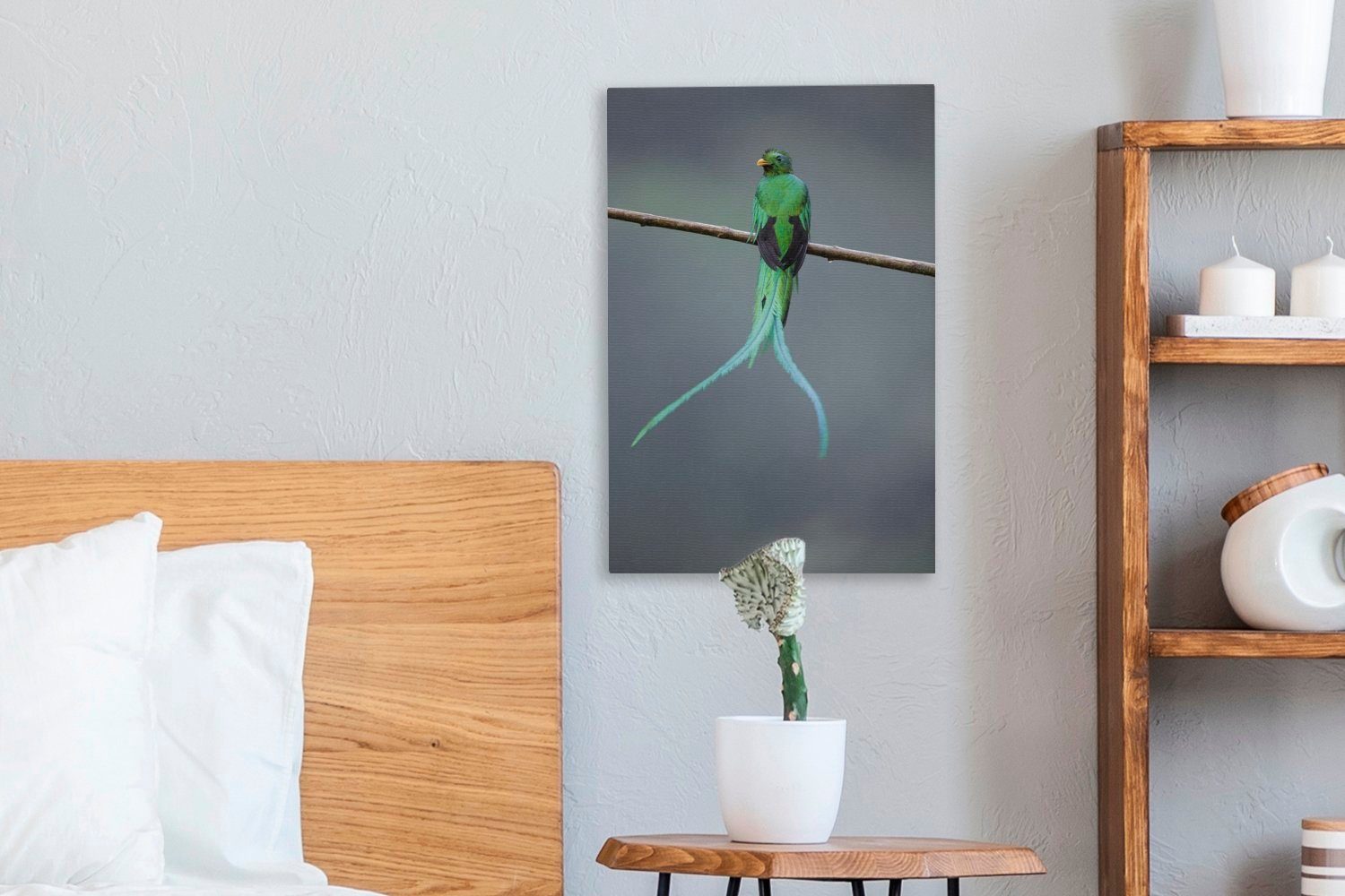 OneMillionCanvasses® Leinwandbild Wäldern fertig von inkl. (1 cm bespannt Der St), Leinwandbild Gemälde, Zackenaufhänger, den 20x30 Costa Rica, Quetzal in
