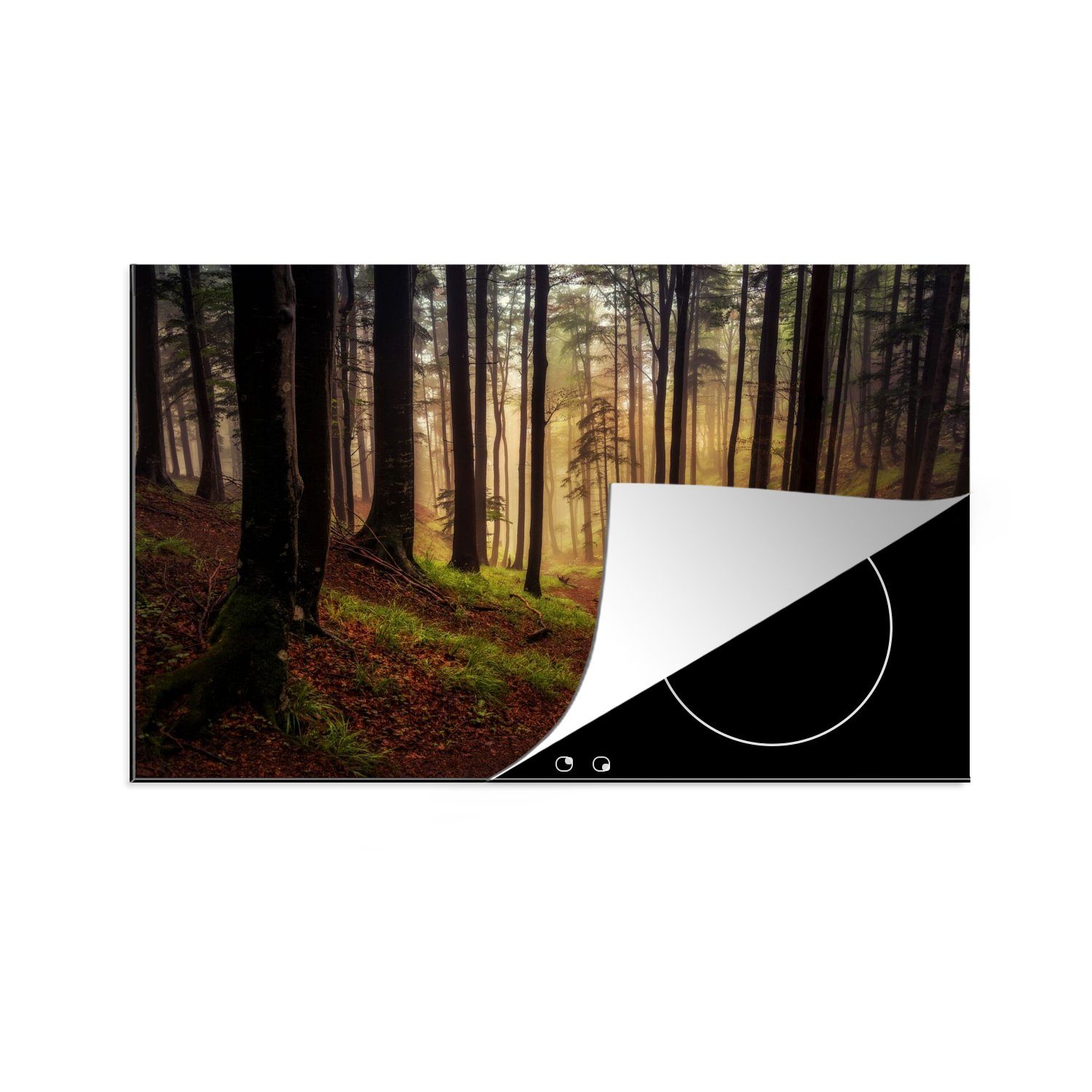 MuchoWow Herdblende-/Abdeckplatte Bäume - Natur - Wald, Vinyl, (1 tlg), 80x52 cm, Induktionskochfeld Schutz für die küche, Ceranfeldabdeckung