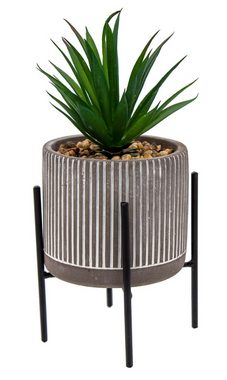 Kunstpflanze 3er SET künstliche Pflanze Grünpflanze im Deko Topf Sukkulente, Centi, Höhe 25 cm, Dekotopf mit Metallfüßen aus Zement 10x25cm