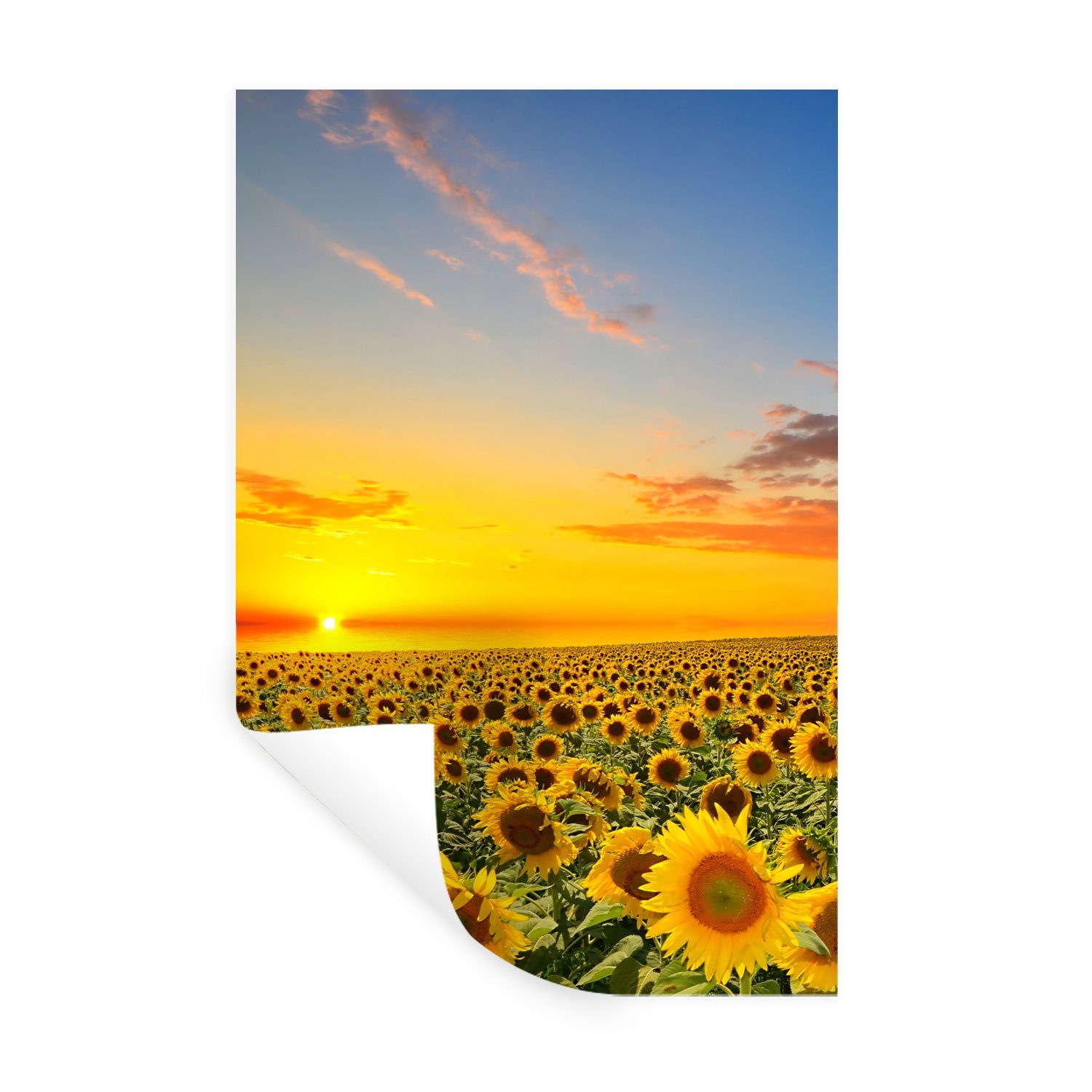 MuchoWow Wandsticker Blumen - Sonnenblume - Sonnenuntergang - Nacht - Orange (1 St), Wandaufkleber, Selbstklebend, Wohnzimmer, 20x30 cm
