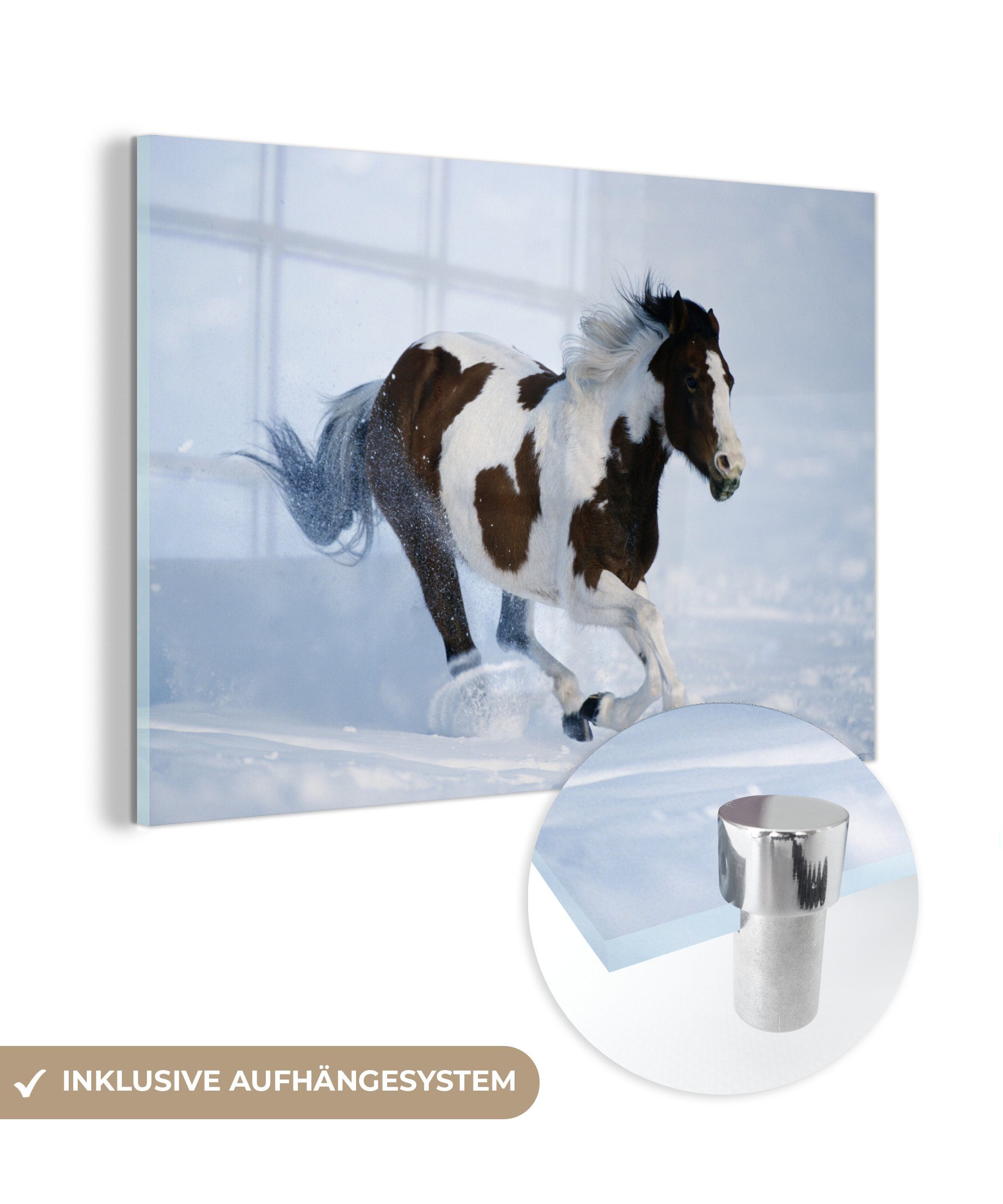 MuchoWow Acrylglasbild Pferde (1 - Wohnzimmer St), Winter, Acrylglasbilder Schnee & Schlafzimmer 