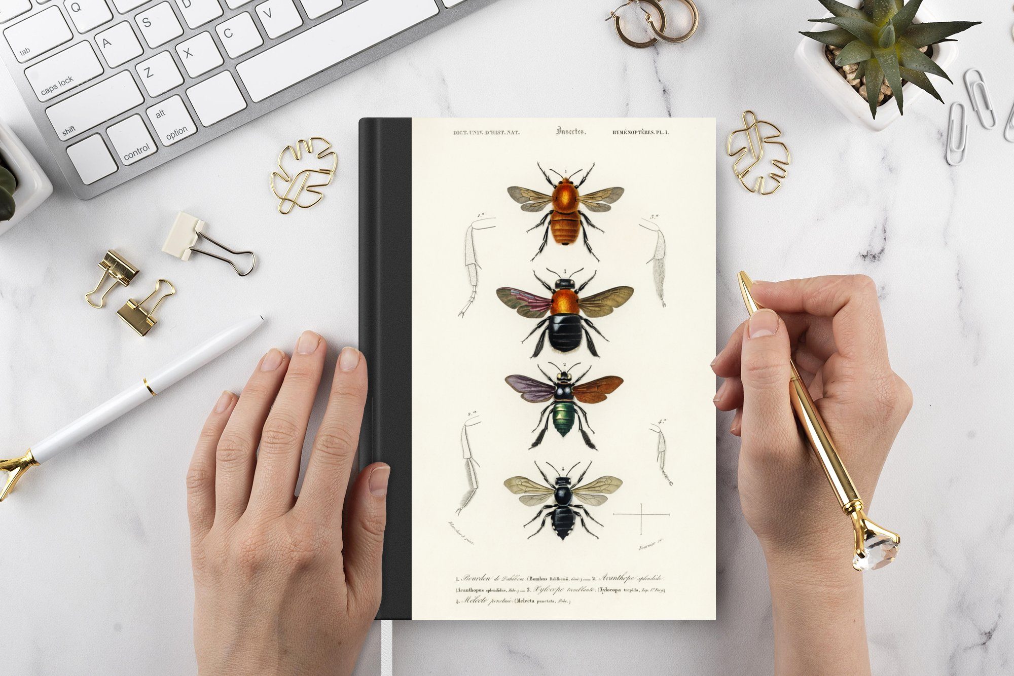 MuchoWow Notizbuch Bienen - Jahrgang Insekten, Haushaltsbuch - Seiten, Merkzettel, A5, Notizheft, 98 Journal, Tagebuch