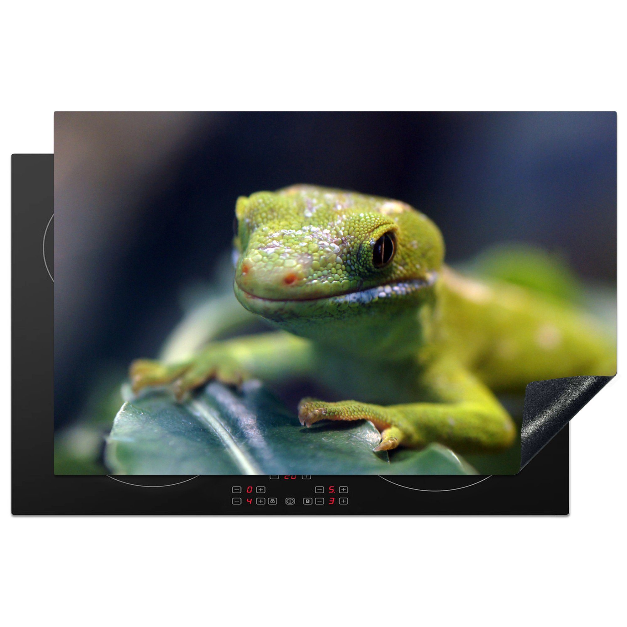 MuchoWow Herdblende-/Abdeckplatte Grüner Gecko auf einem die cm, 81x52 (1 Vinyl, Schutz Ceranfeldabdeckung Blatt, für Induktionskochfeld tlg), küche