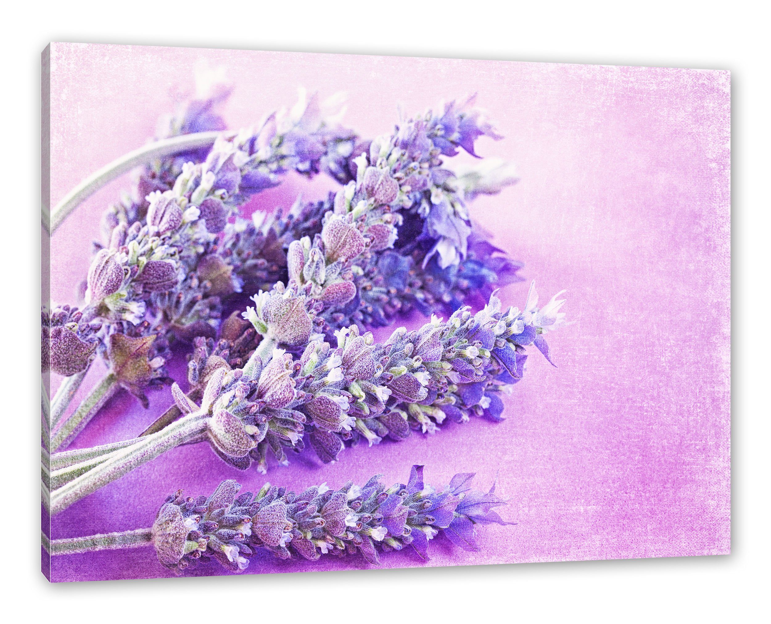 Pixxprint Leinwandbild getrockneter Lavendel, getrockneter Lavendel (1 St), Leinwandbild fertig bespannt, inkl. Zackenaufhänger