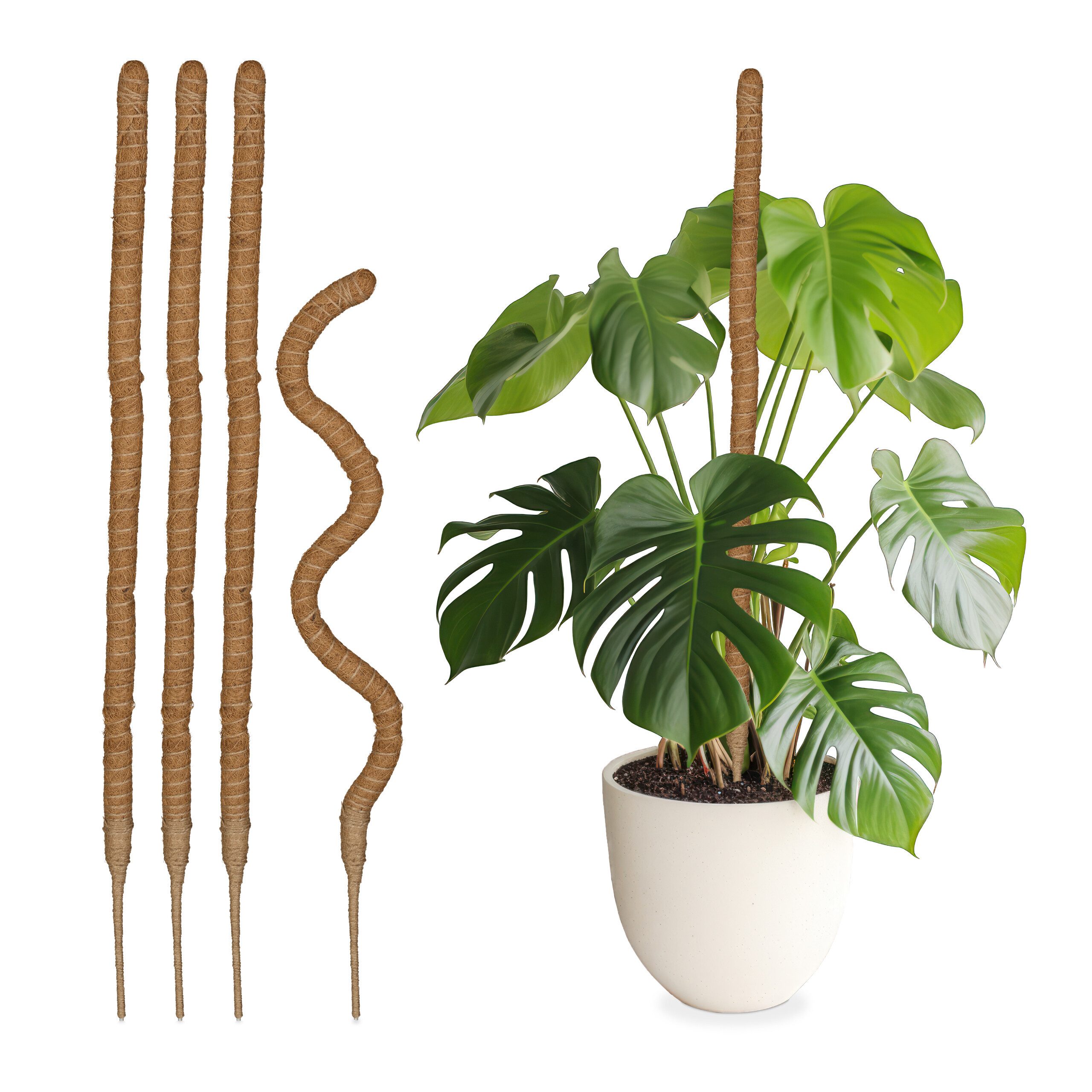 relaxdays Rankhilfe 5er Set Kokosstäbe 90 günstig online kaufen