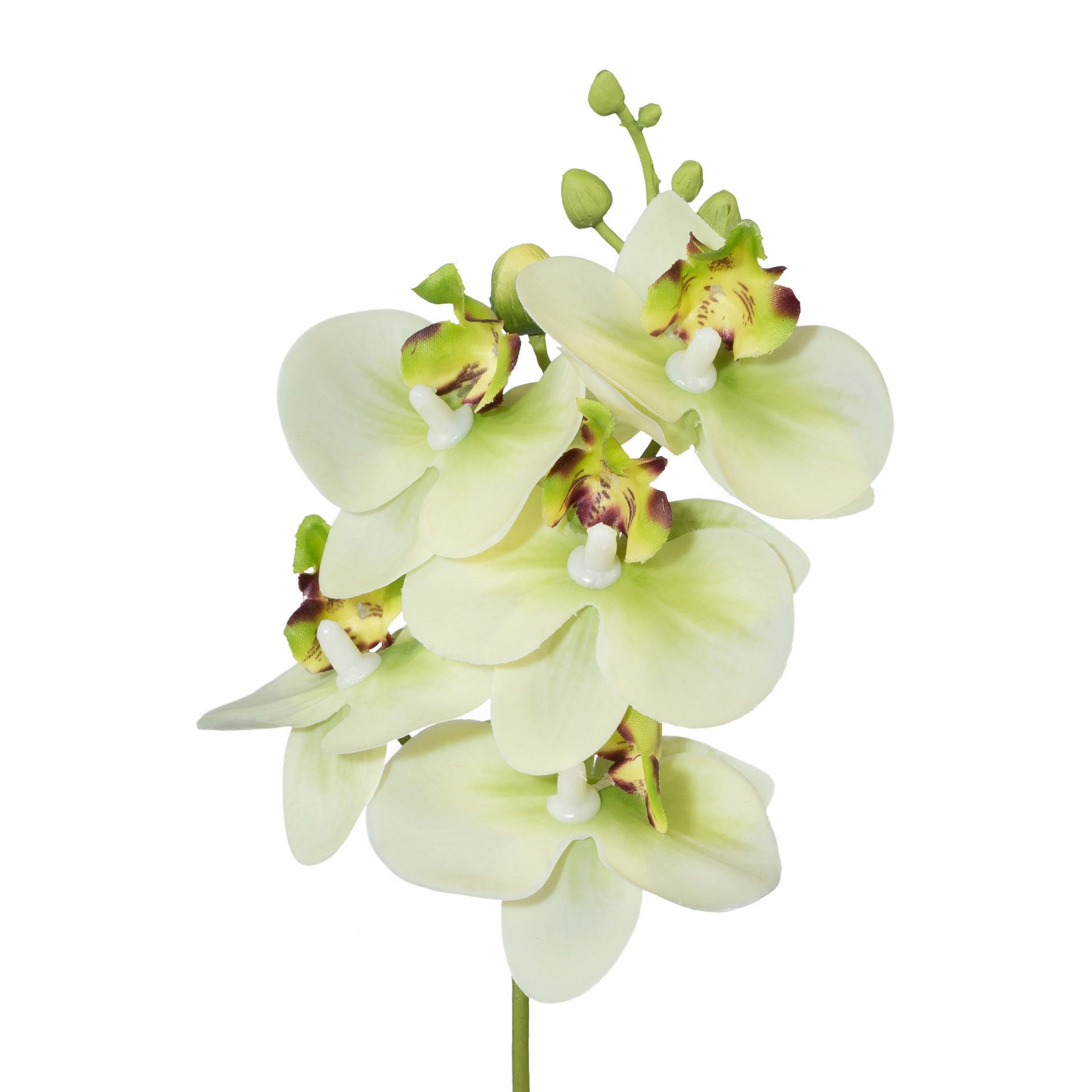 Kunstorchidee Kunstblume Phalaenopsis, Orchideenzweig 27cm Real Touch, Gasper