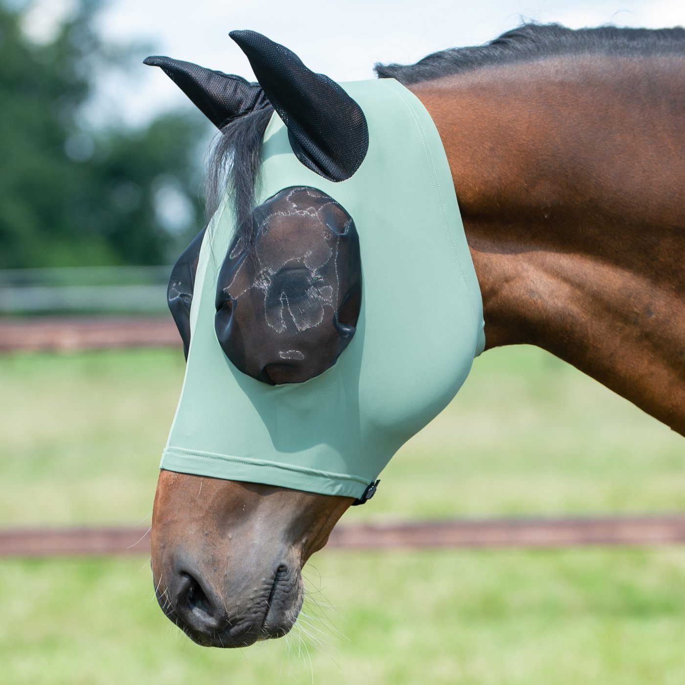 BUSSE Fliegenmasken Twin Fit Flexi olive Größe Pony, elastisch und  verstellbar