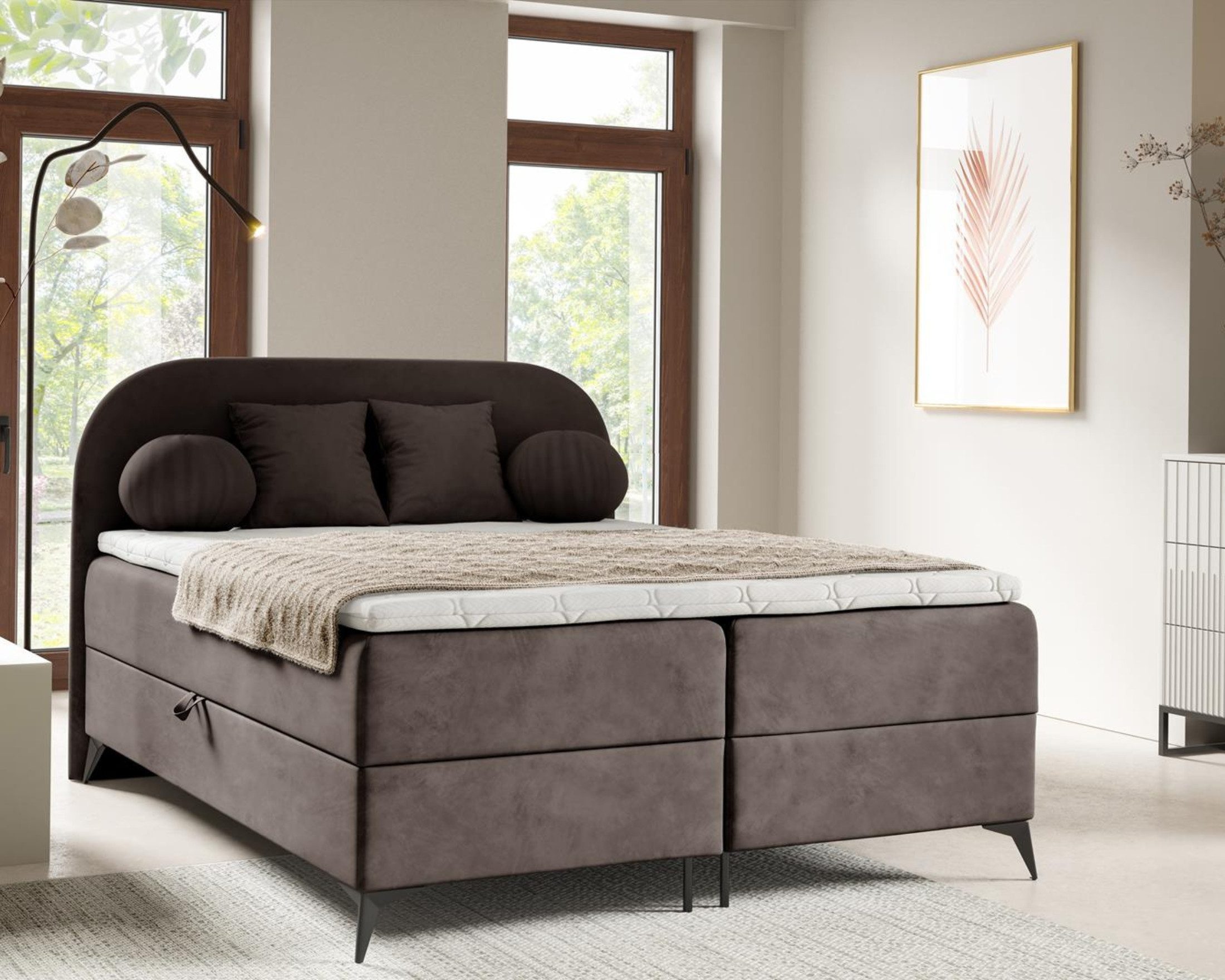 Deine Möbel 24 Boxspringbett JENNY Komplettbett günstig online kaufen