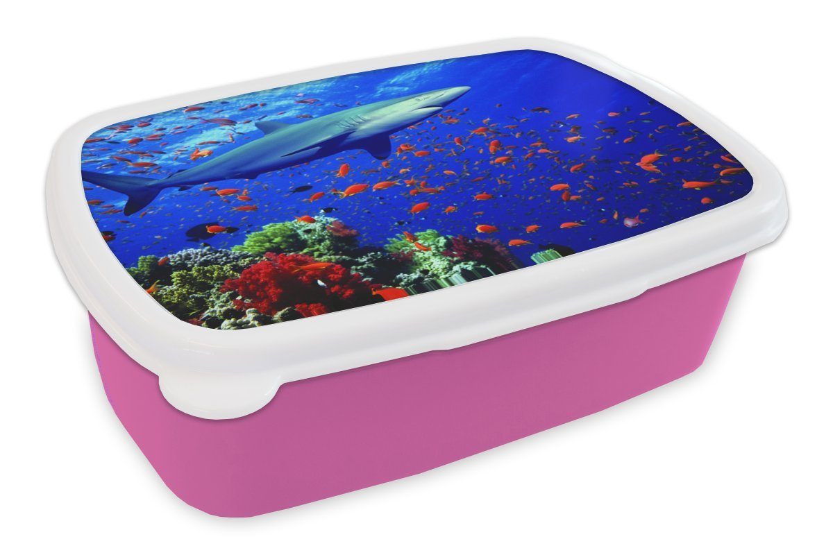 MuchoWow Lunchbox Hai am Korallenriff, Kunststoff, (2-tlg), Brotbox für Erwachsene, Brotdose Kinder, Snackbox, Mädchen, Kunststoff rosa