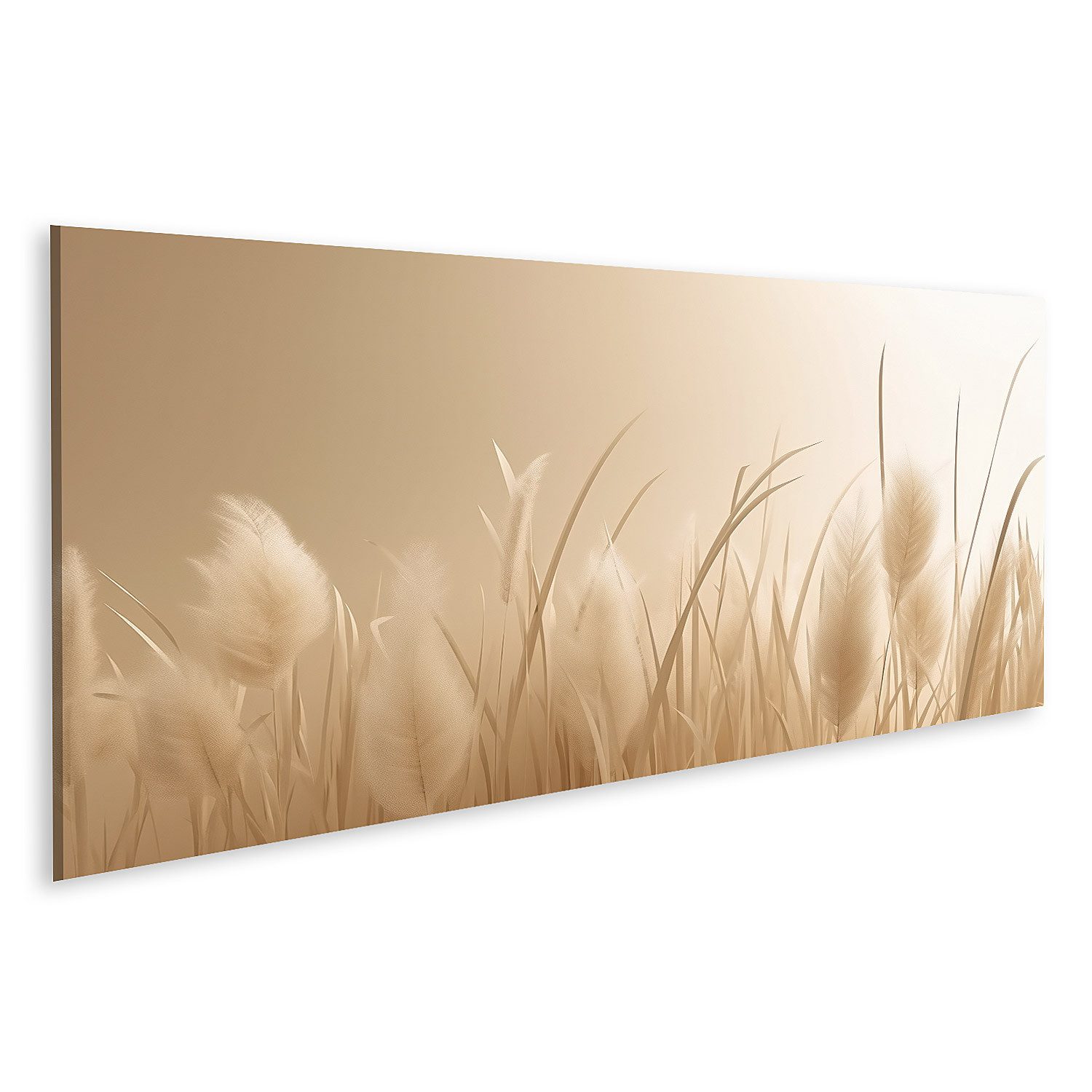 islandburner Leinwandbild Pampasgras Minimalist Pampasgras Minimalist günstig online kaufen
