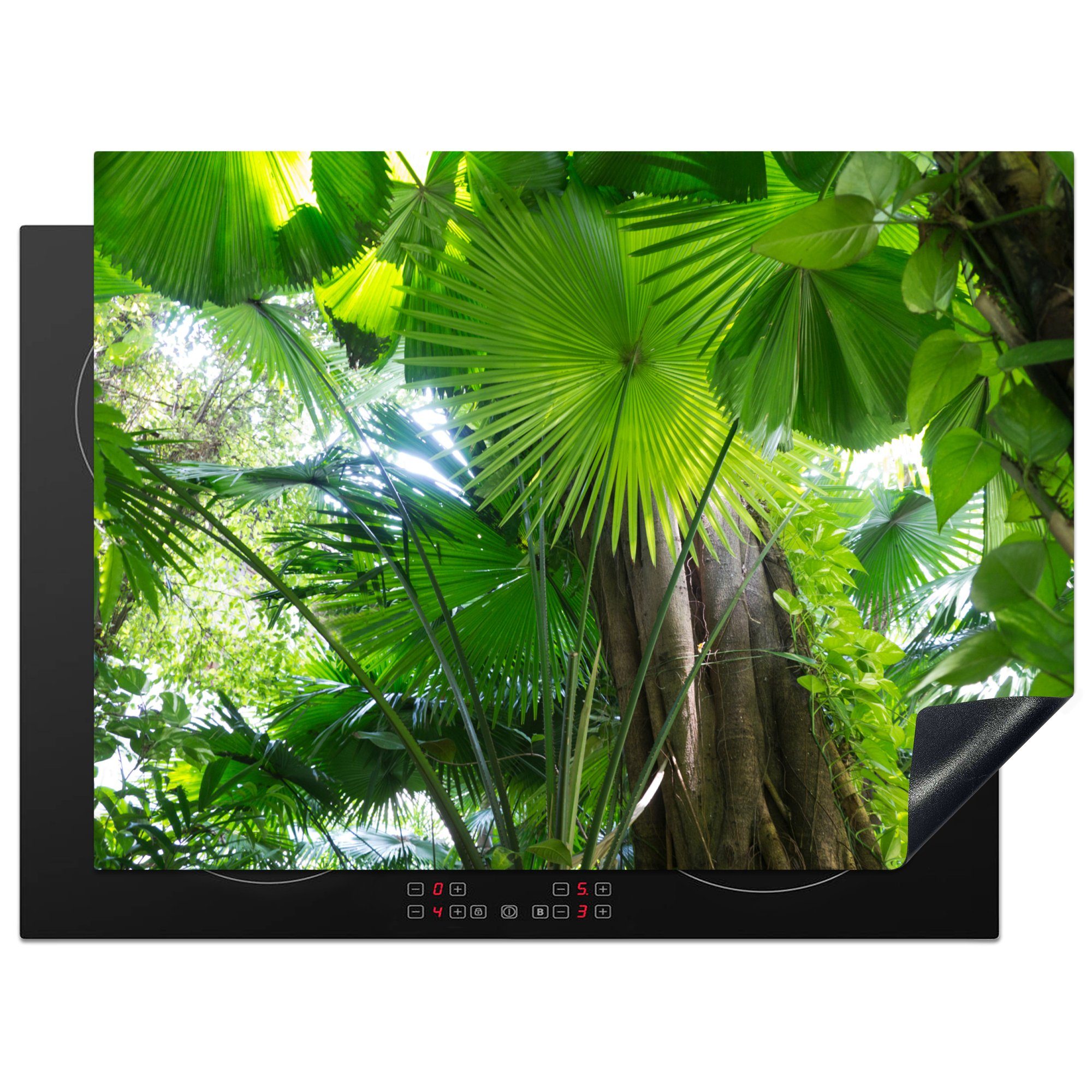 MuchoWow Herdblende-/Abdeckplatte Tropischer Regenwald, Vinyl, (1 tlg), 71x52 cm, Induktionskochfeld Schutz für die küche, Ceranfeldabdeckung