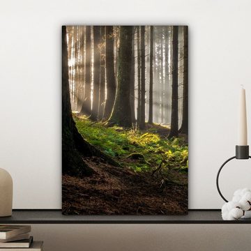 OneMillionCanvasses® Leinwandbild Sonne - Äste - Bäume - Wald - Natur, (1 St), Leinwandbild fertig bespannt inkl. Zackenaufhänger, Gemälde, 20x30 cm