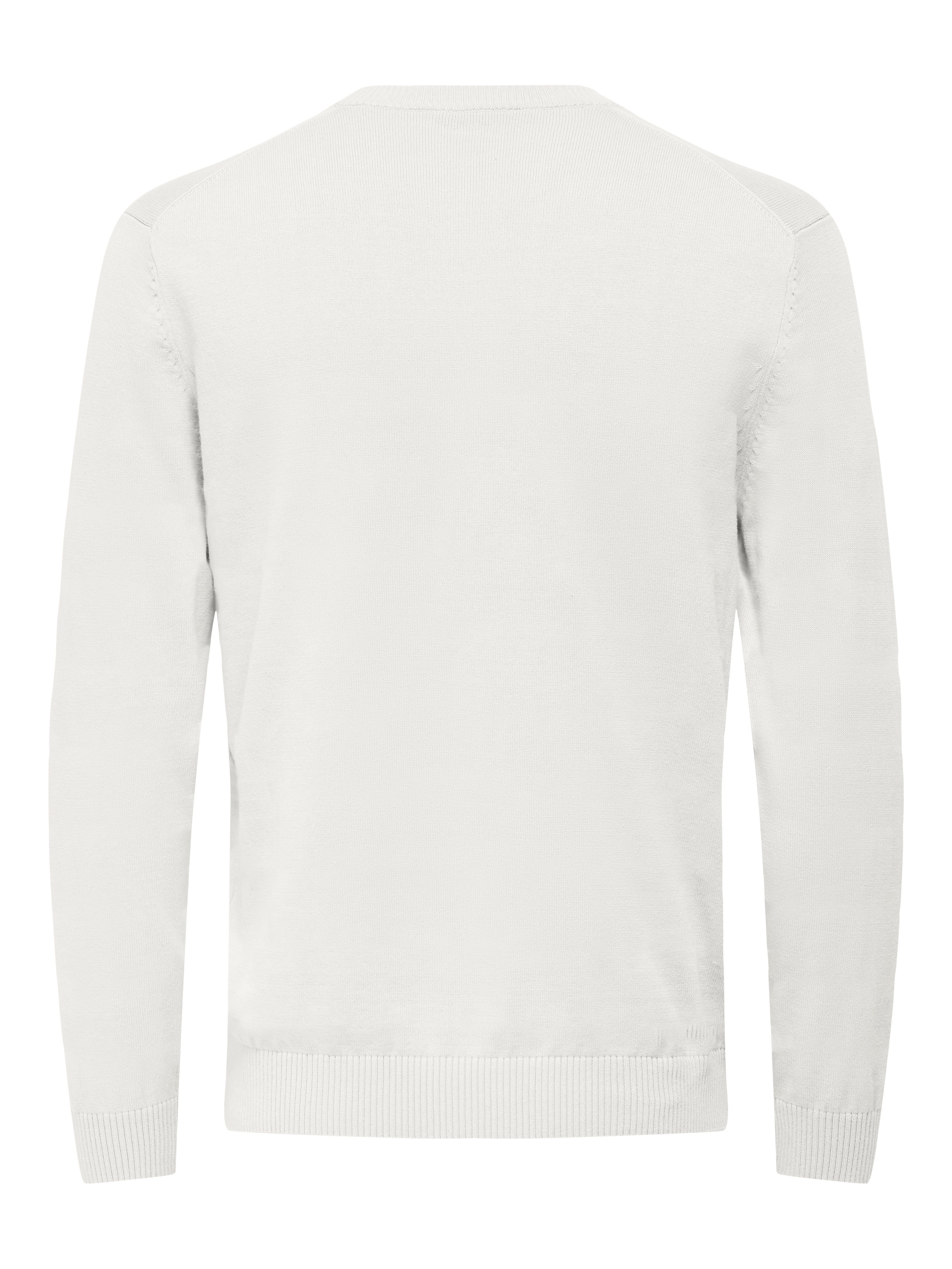 ONLY & SONS Rundhalspullover ONSHOLGER REG günstig online kaufen