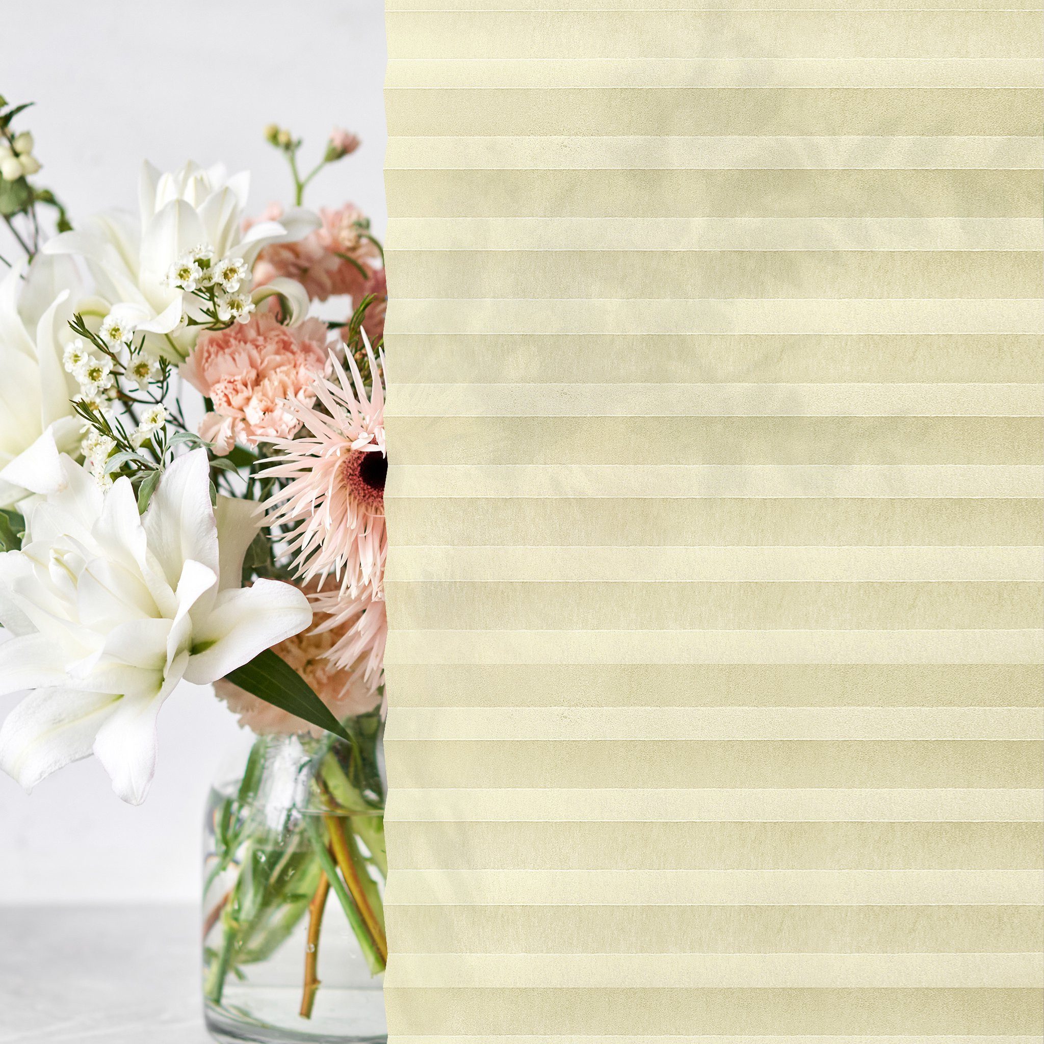 jalousiescout Plissee Pure Plissee Basic, 60 x 110 cm, creme, halbtranspare günstig online kaufen