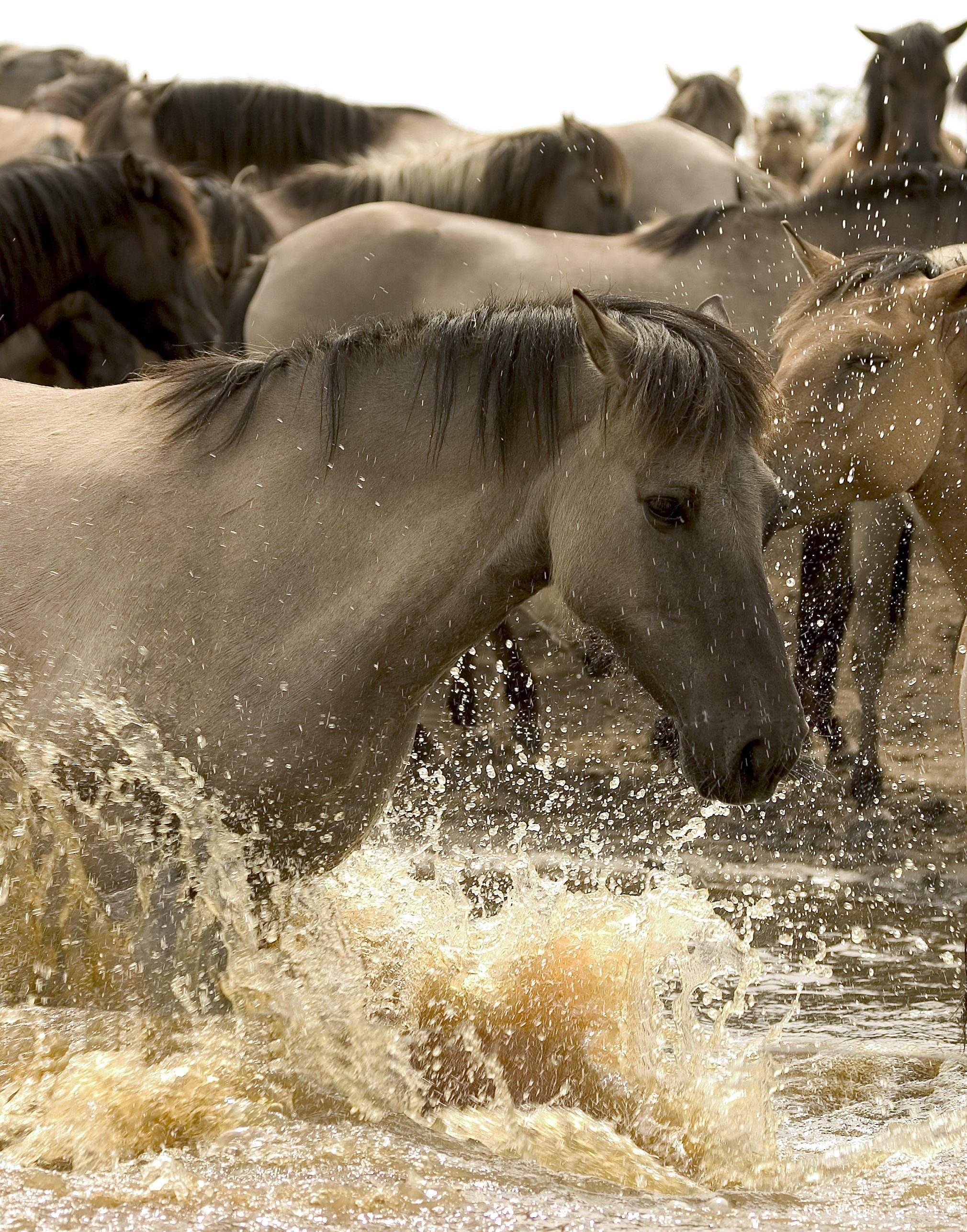 Kollektion Karthaus ewige Kalender Dauerkalender aus Holz, Wand-, Tisch + Lernkalender, Handgefertigt