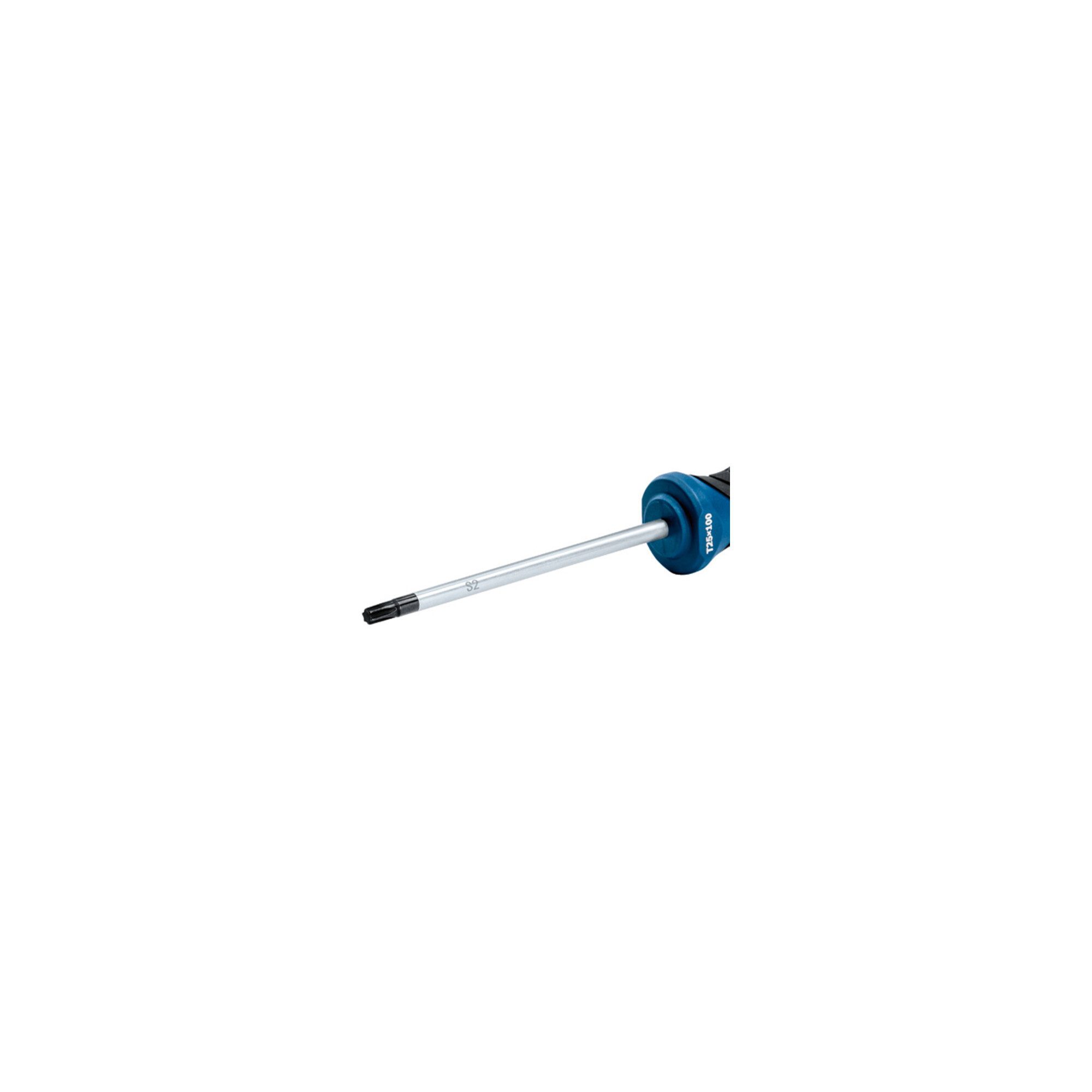 Bosch Professional Schraubendreher Bosch Schrauber Screwdriver TX 25x100