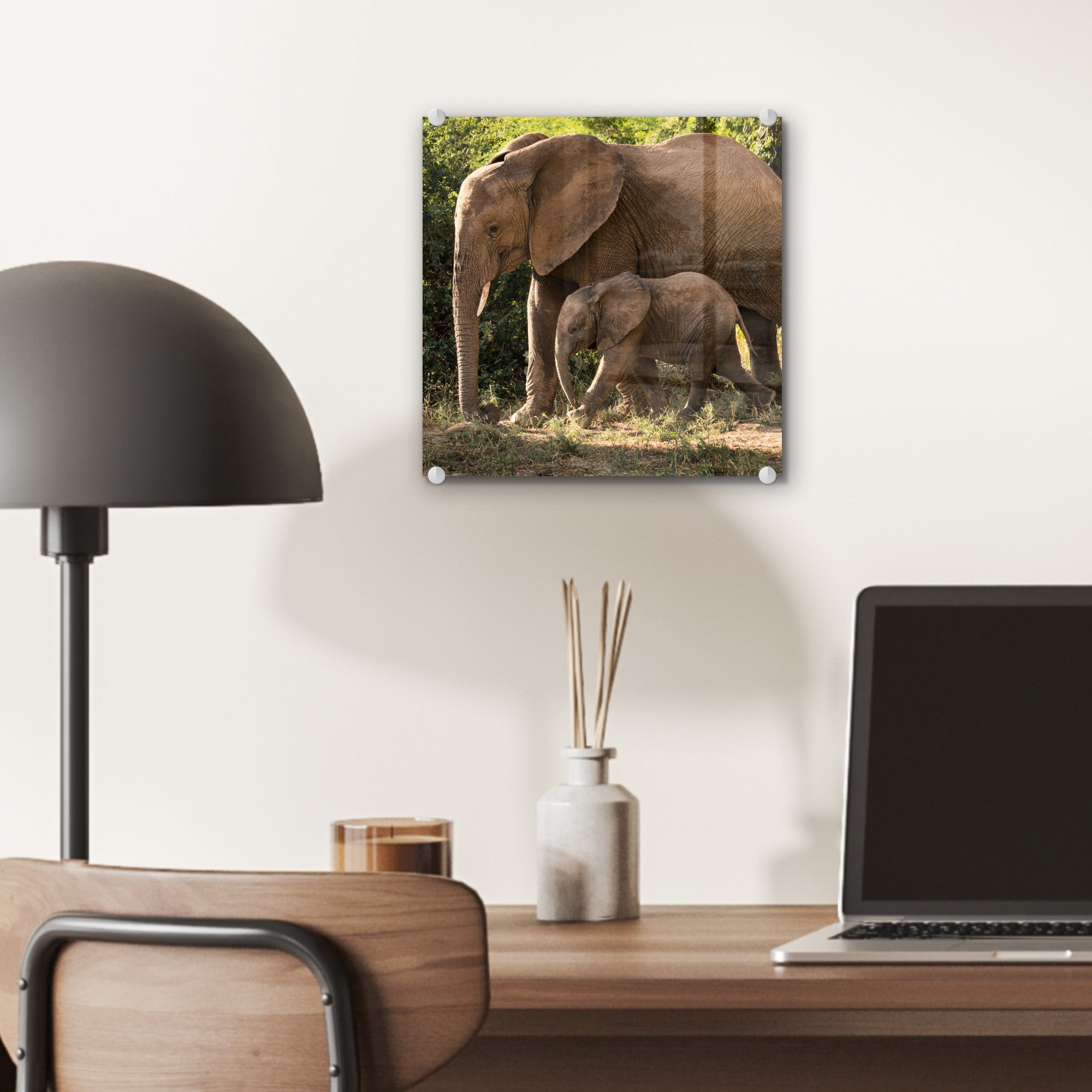 Bilder (1 - MuchoWow Mutter, St), Acrylglasbild - Glasbilder Elefantenbaby auf Wanddekoration Wanderndes Foto auf seiner Glas Wandbild Glas - mit