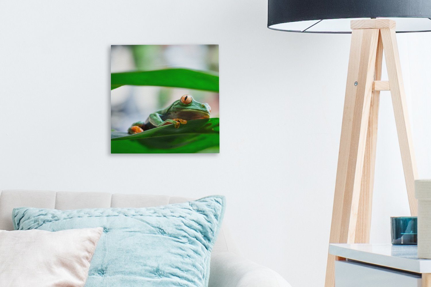 von (1 OneMillionCanvasses® St), Bilder Leinwand der Costa Frösche Leinwandbild Schlafzimmer Rica, Natur für in Wohnzimmer