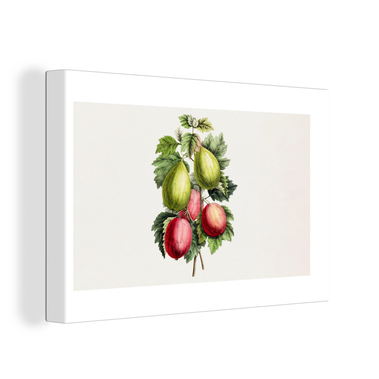 OneMillionCanvasses® Leinwandbild Lebensmittel - Feigen - Gesund, (1 St), Wandbild Leinwandbilder, Aufhängefertig, Wanddeko, 30x20 cm