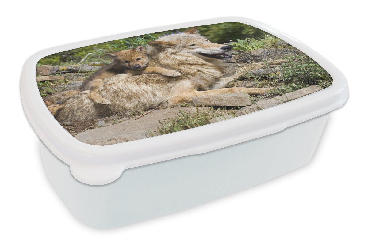 MuchoWow Lunchbox Wolf - Jungtier - Tier, Kunststoff, (2-tlg), Brotbox für Kinder und Erwachsene, Brotdose, für Jungs und Mädchen weiß