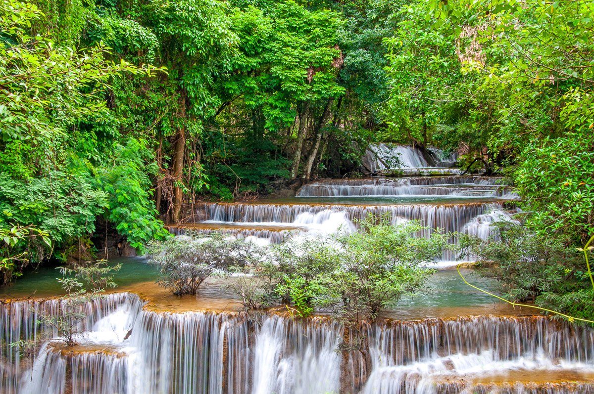 Fototapete Fluss im Wald