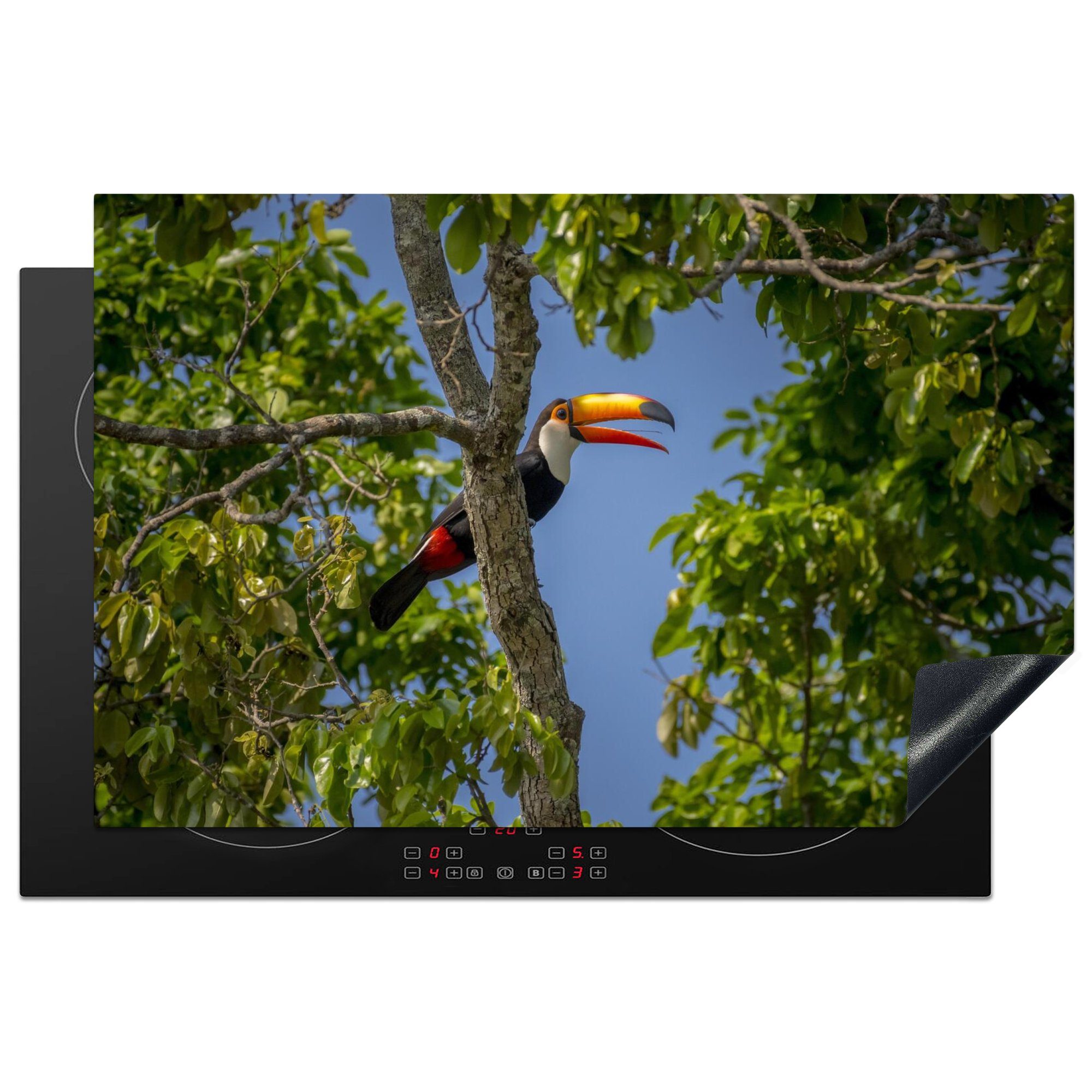 MuchoWow Herdblende-/Abdeckplatte Riesentukan in einem Baum in Brasilien, Vinyl, (1 tlg), 81x52 cm, Induktionskochfeld Schutz für die küche, Ceranfeldabdeckung