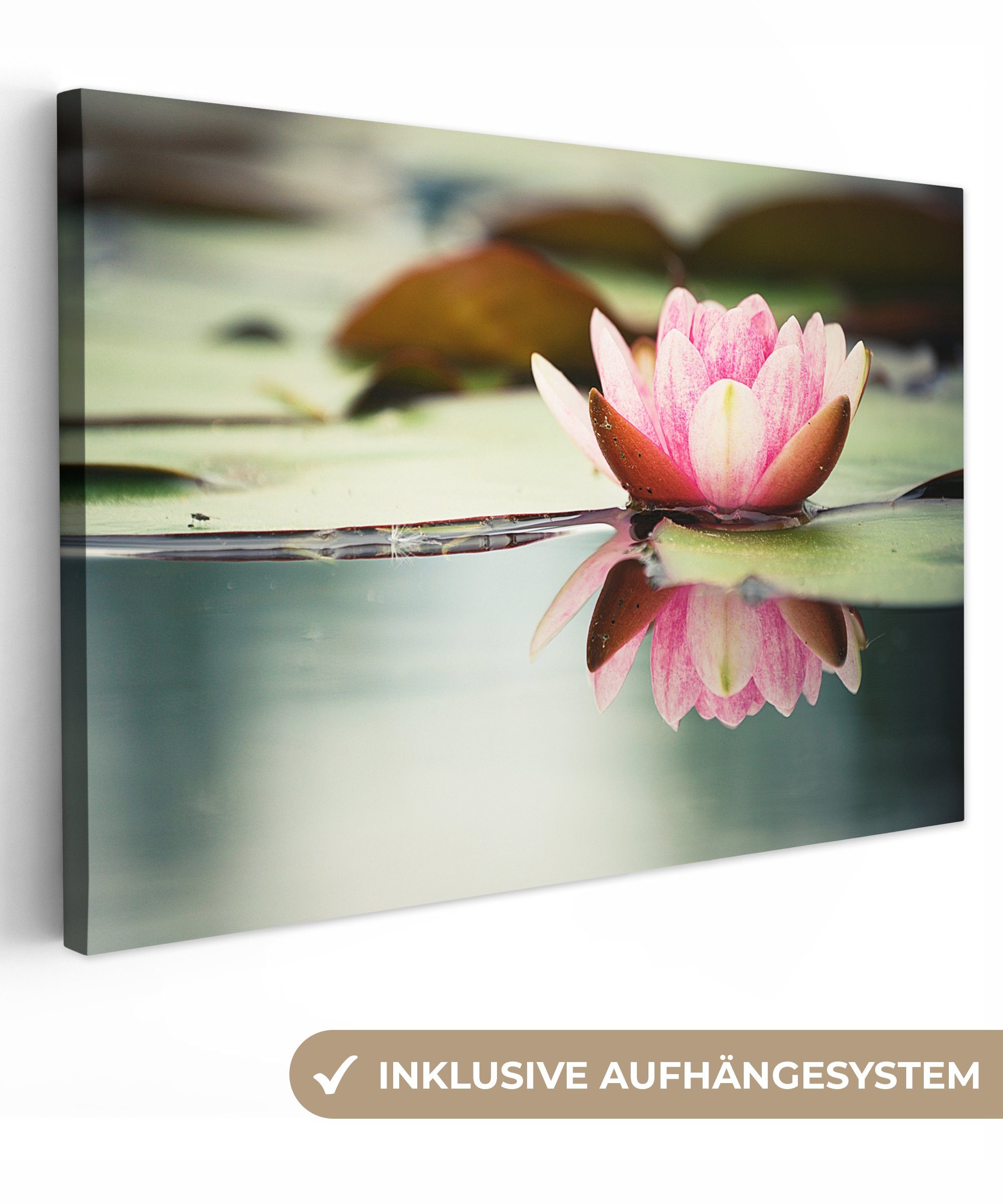 OneMillionCanvasses® Leinwandbild Rosa Seerose, Wanddeko, 30x20 Wandbild Aufhängefertig, Leinwandbilder, cm (1 St)