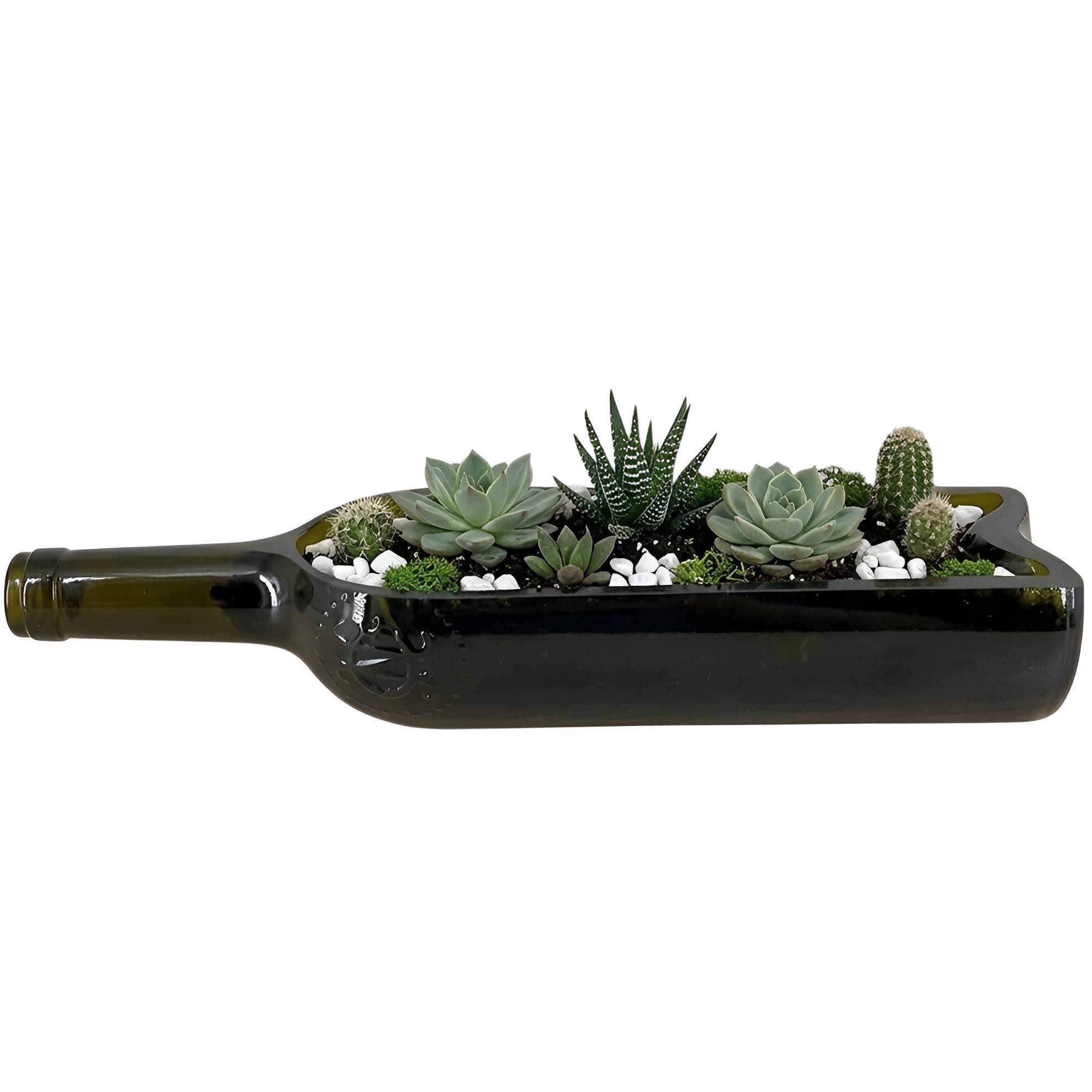 Upglassic Sukkulente Planter aus echter Weinflasche – Upcycling Pflanzgefäß für Sukkulenten Blumentopf für Sukkulenten (Maße: ca. 30 x 7 x 6 cm), 1 St., Upcycling-Glas aus alten Weinflaschen
