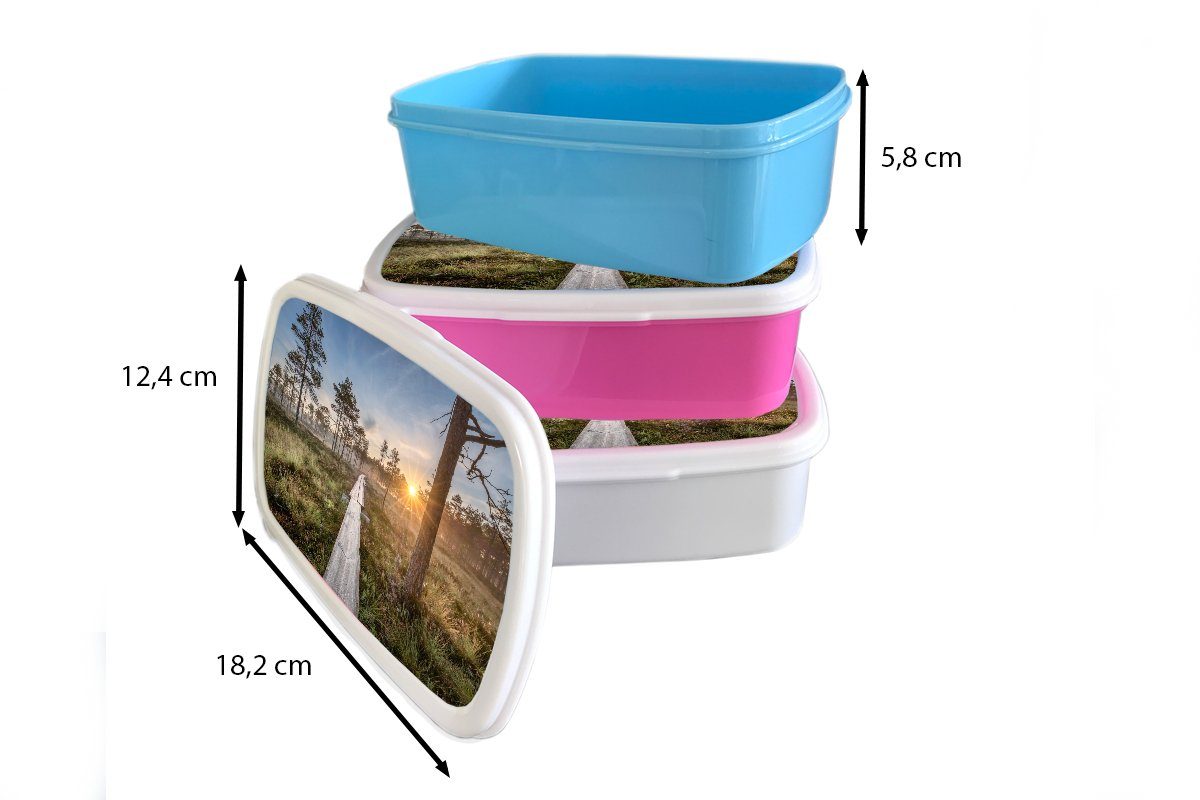 und - Erwachsene, Lunchbox für Kinder Mädchen und Kunststoff, MuchoWow Wald Brotdose, für (2-tlg), Jungs - Sumpf Baum, weiß Brotbox