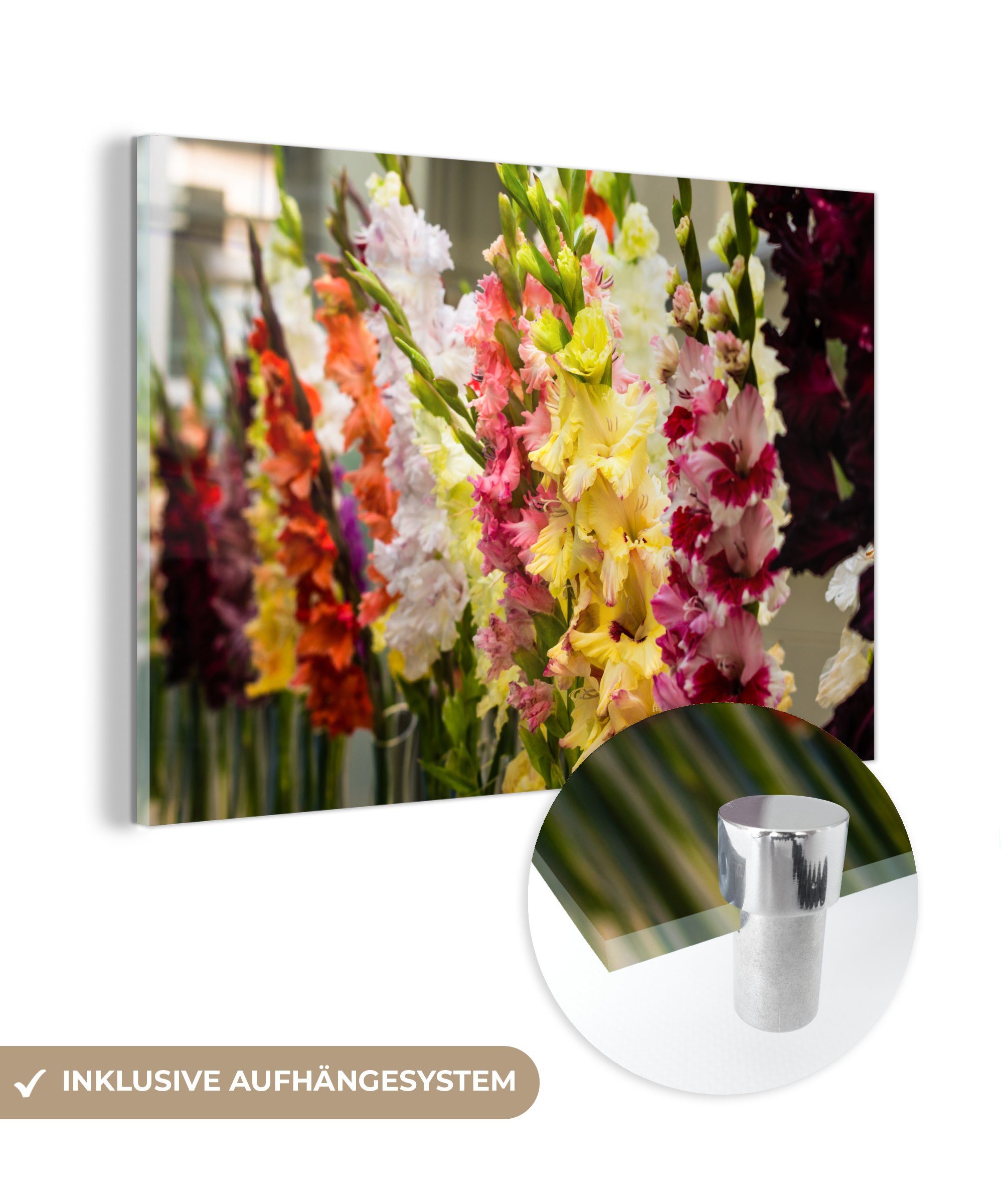Gladiolen (1 - Farben, Wohnzimmer & MuchoWow - Blumen Schlafzimmer Acrylglasbilder Acrylglasbild St),