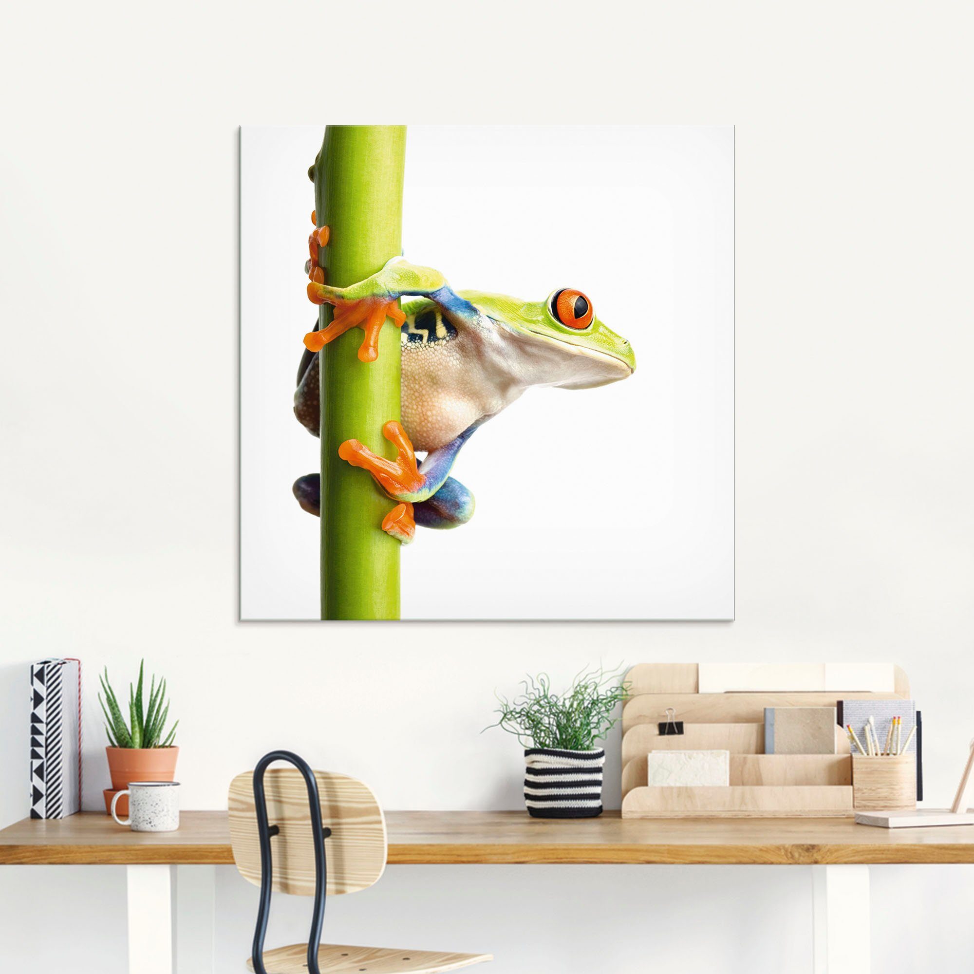 Artland Glasbild Frosch umfasst einen Pflanzenstengel, Wassertiere (1 St), in verschiedenen Größen