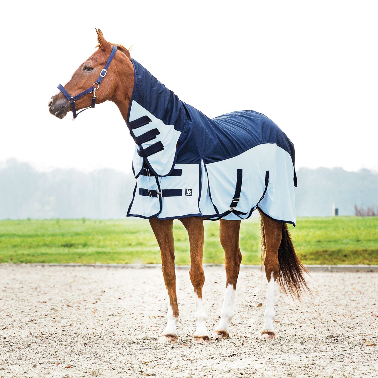 Horse Guard Pferde-Regendecke Regen- und Insektendecke Aiman für Pferde, blau