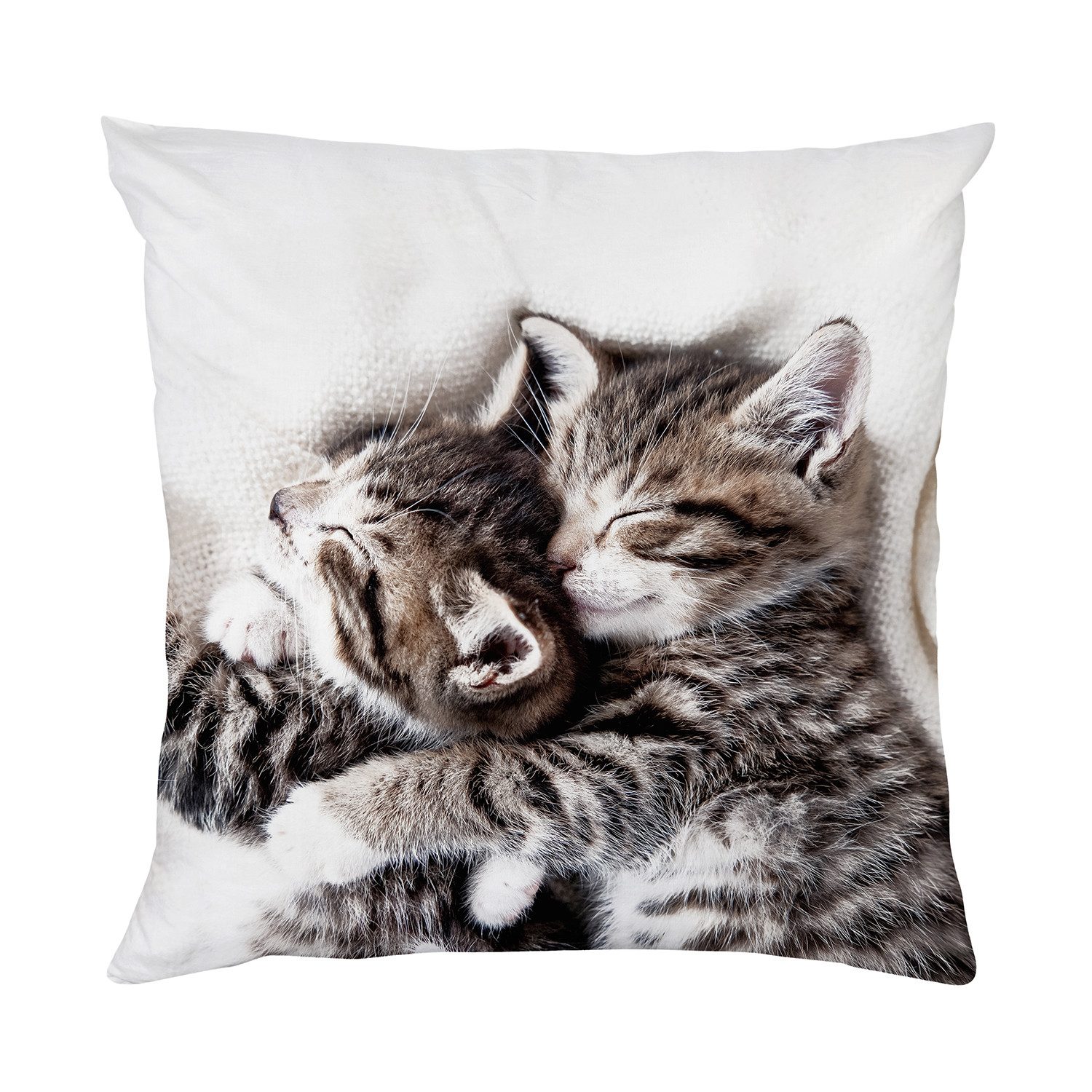 queence Kissenbezug Dekokissen "Niedliche Katzenbabies" Kuschelkissen Tierbaby, Katzenbaby, geruchsneutral, 40x40cm