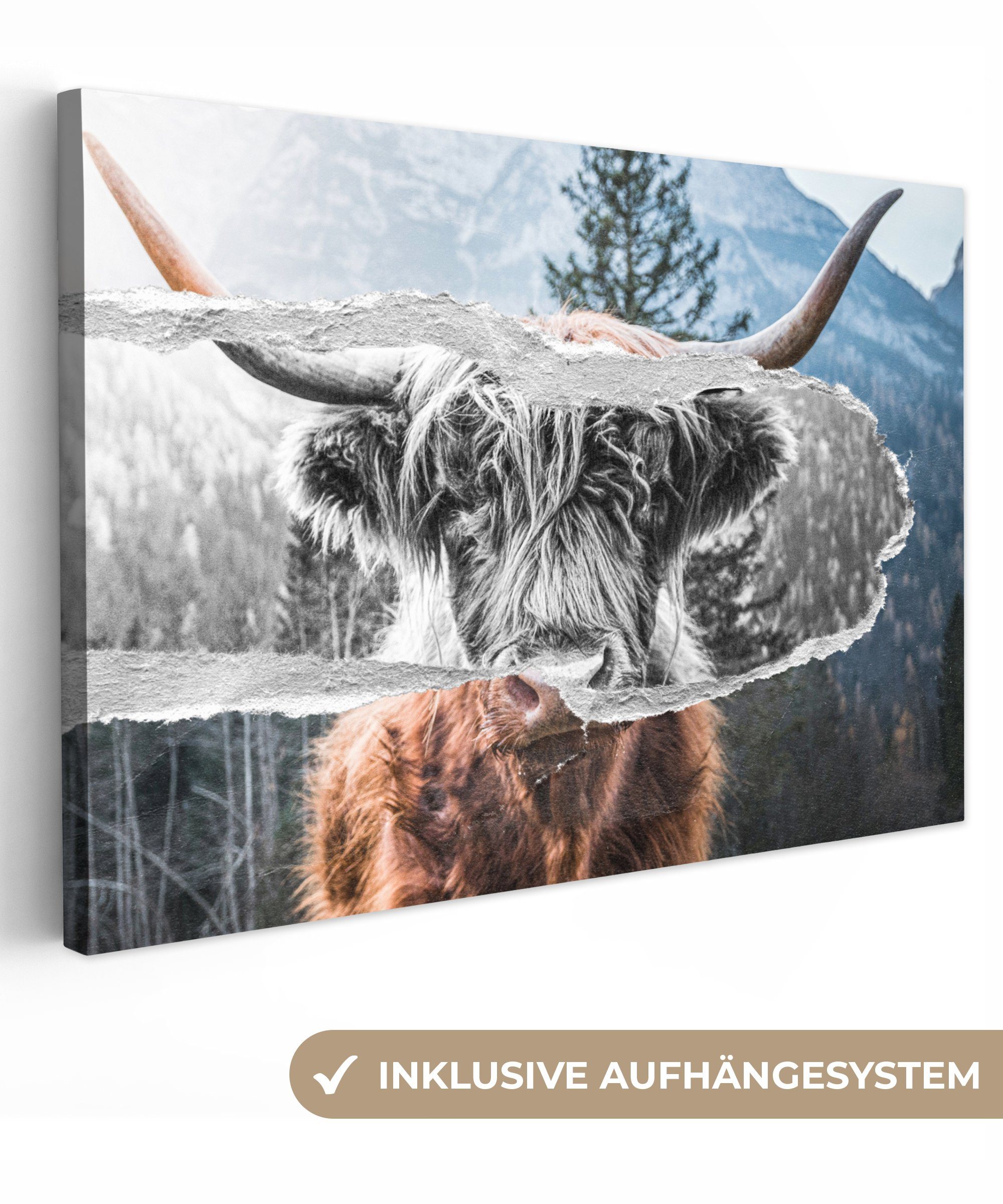 OneMillionCanvasses® Leinwandbild Schottischer Highlander - Kuh - Schwarz - Weiß, (1 St), Wandbild Leinwandbilder, Aufhängefertig, Wanddeko, 30x20 cm