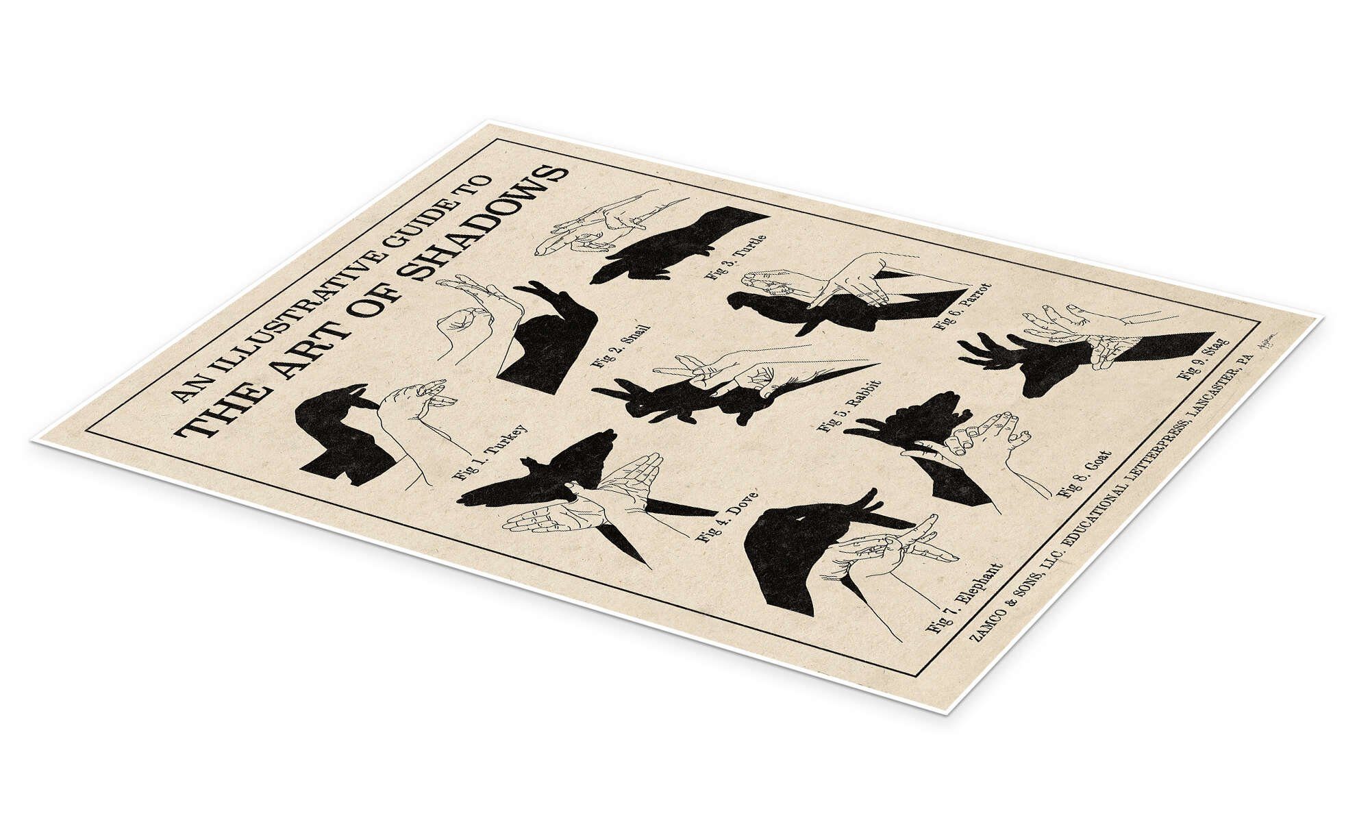 Posterlounge Wandbild Die Kunst der Schattenspiele günstig online kaufen