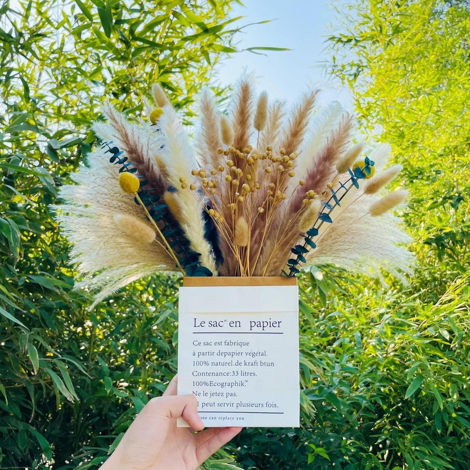 Trockenblume Trockenblumen Pampasgras Deko 43cm Boho, LuxusKollektion, Höhe 10 cm