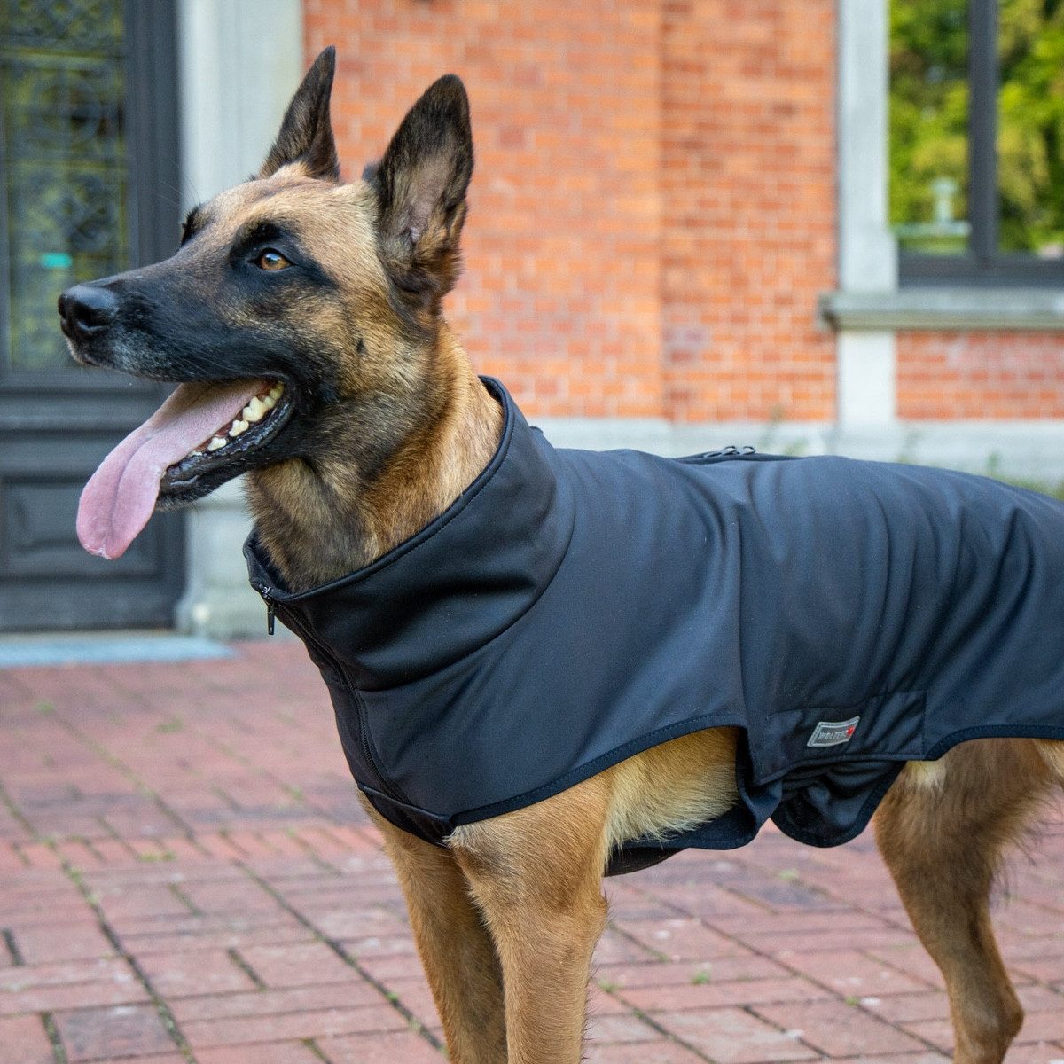 Wolters Hundemantel Softshelljacke Casual schwarz