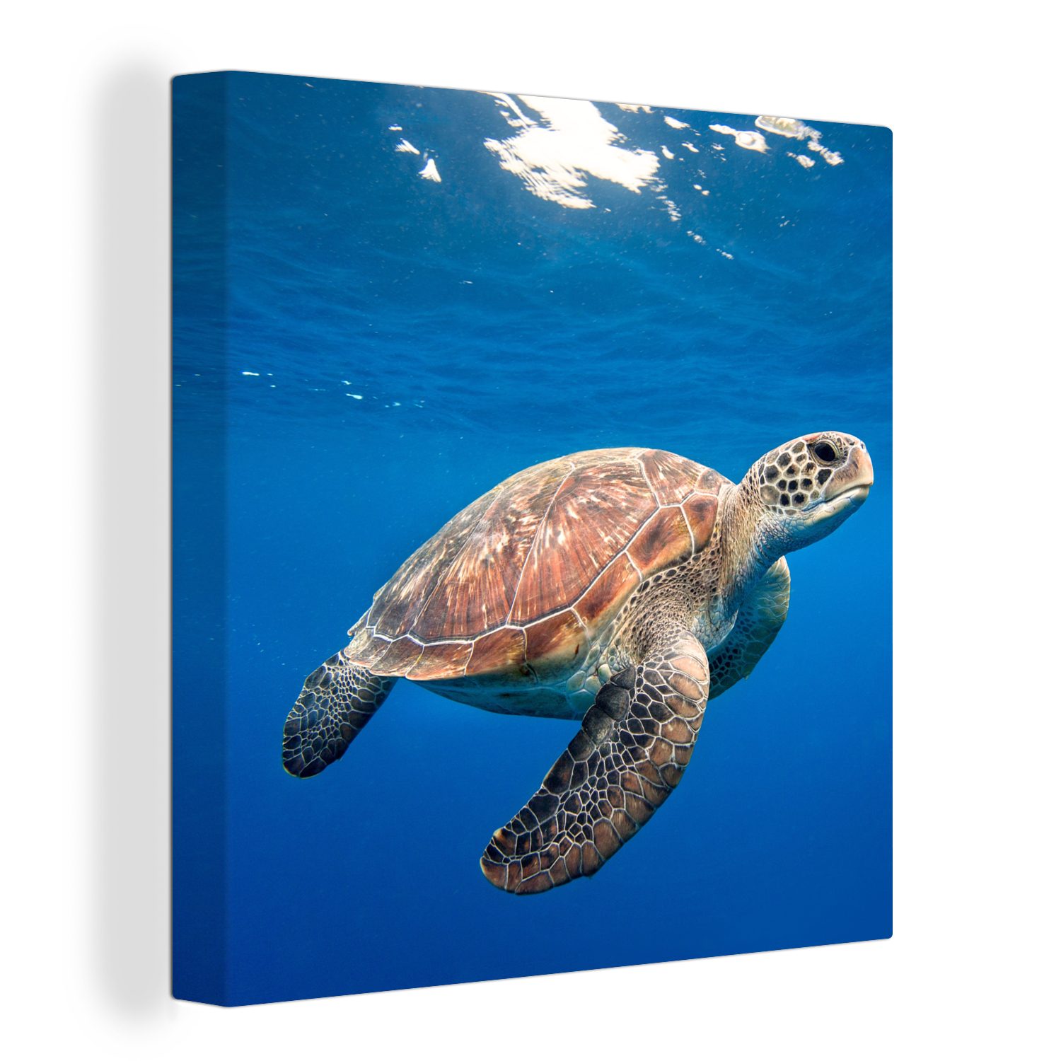 OneMillionCanvasses® Leinwandbild Schildkröte im Ozean, (1 St), Leinwand Bilder für Wohnzimmer Schlafzimmer