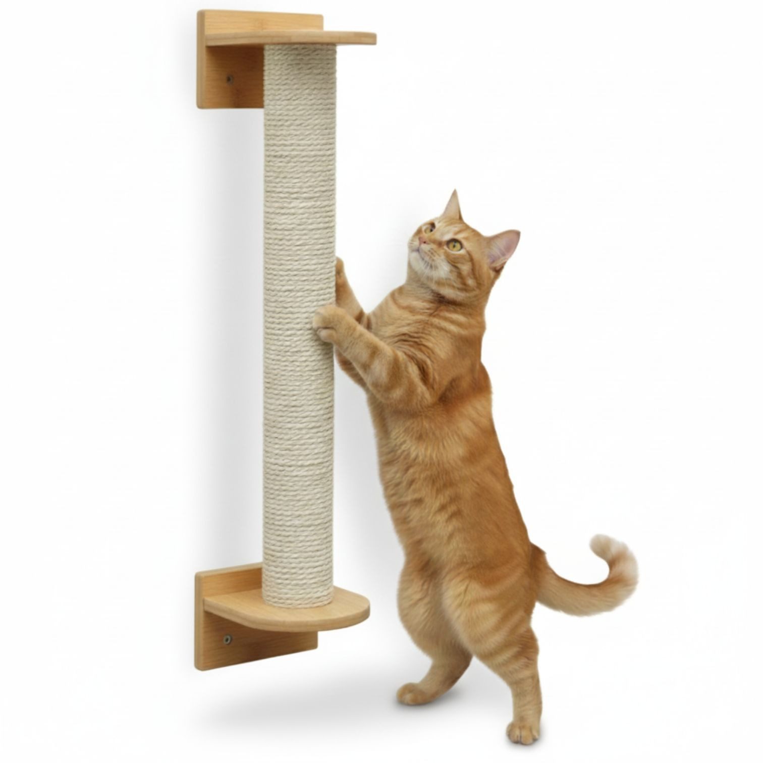 eyepower Kratzbaum zur Wandmontage - 66 cm Wandkratzbaum für Katzen - Sisal Kratzstamm, Sistammstamm Wand - Katzenkratzbaum platzsparend - Kletterwand Katze