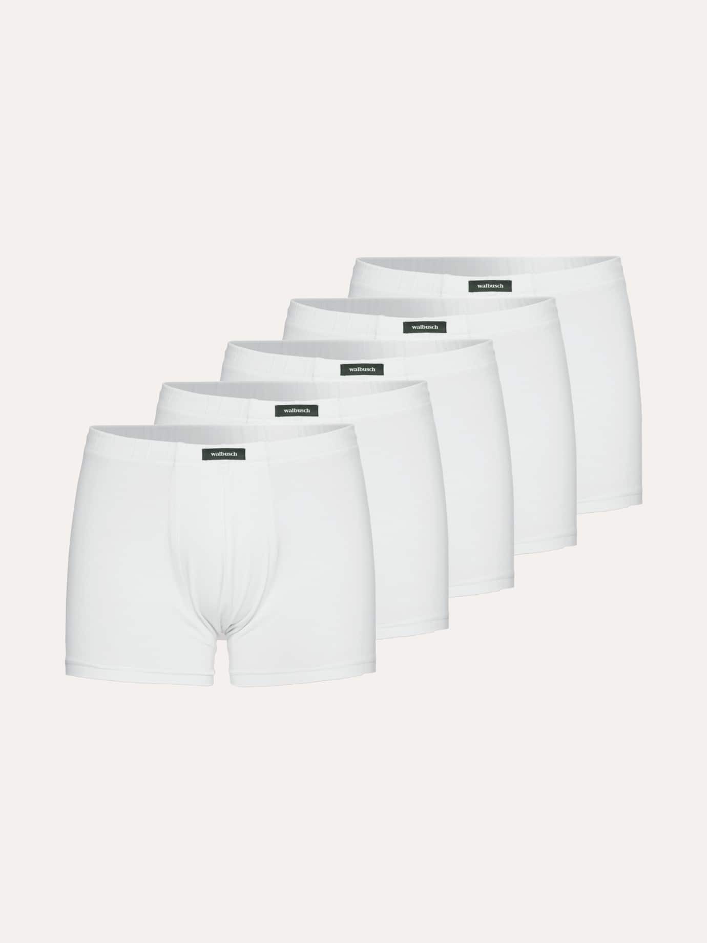 Walbusch Panty Herren Unterwäsche 5er Pack Baumwoll Pants mit softem Gummibund Atmungsaktive, elastische Unterhosen 95% Baumwolle, pflegeleicht – Bild 2 von 4