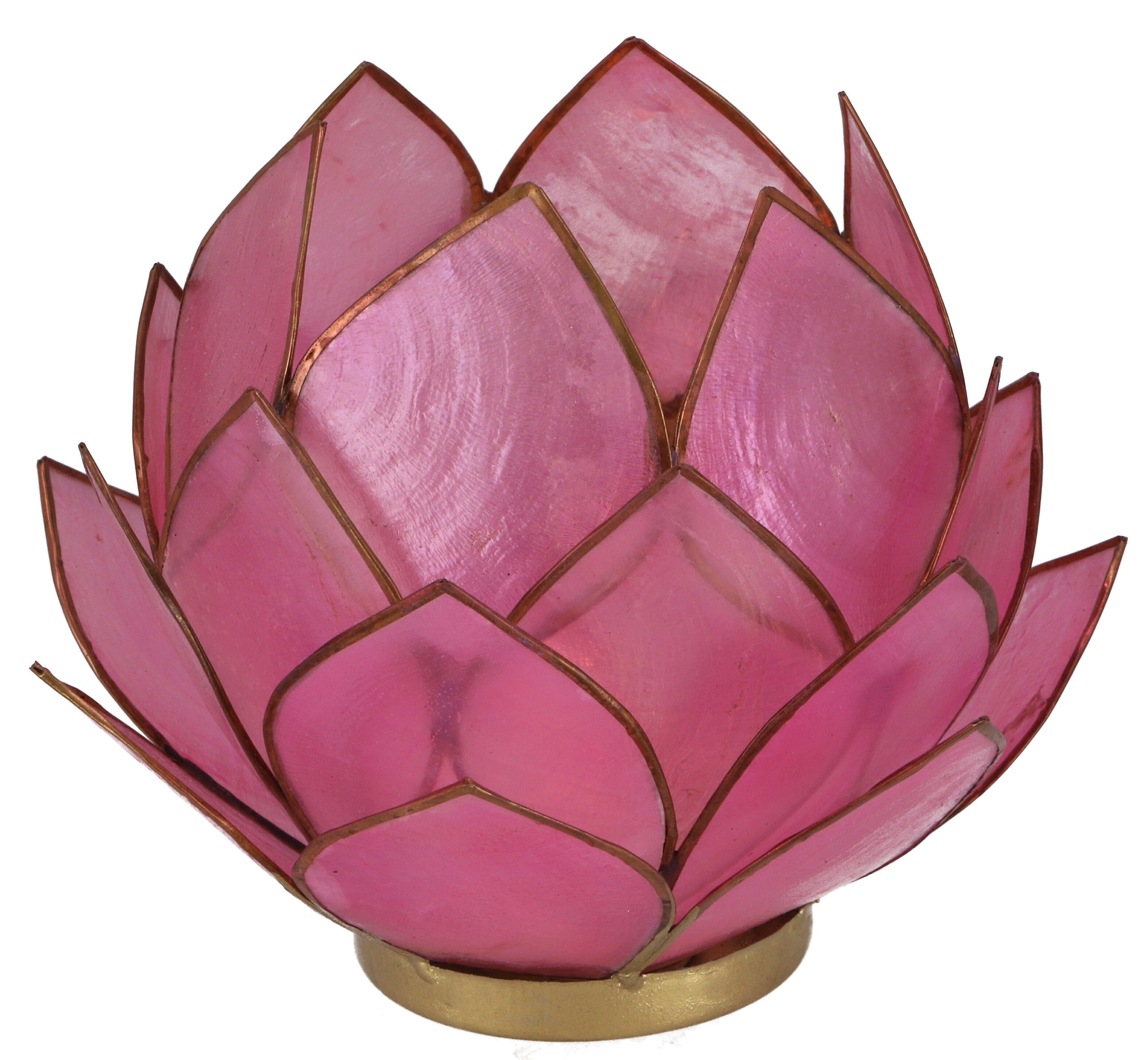 Teelicht cm 14*10 Windlicht Muschel Lotus Guru-Shop - rosa