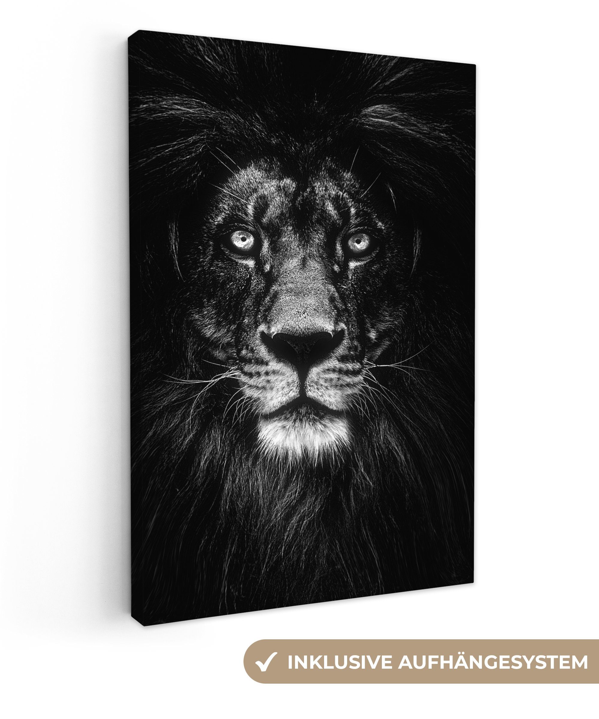 OneMillionCanvasses® Leinwandbild Tier - Porträt - günstig online kaufen