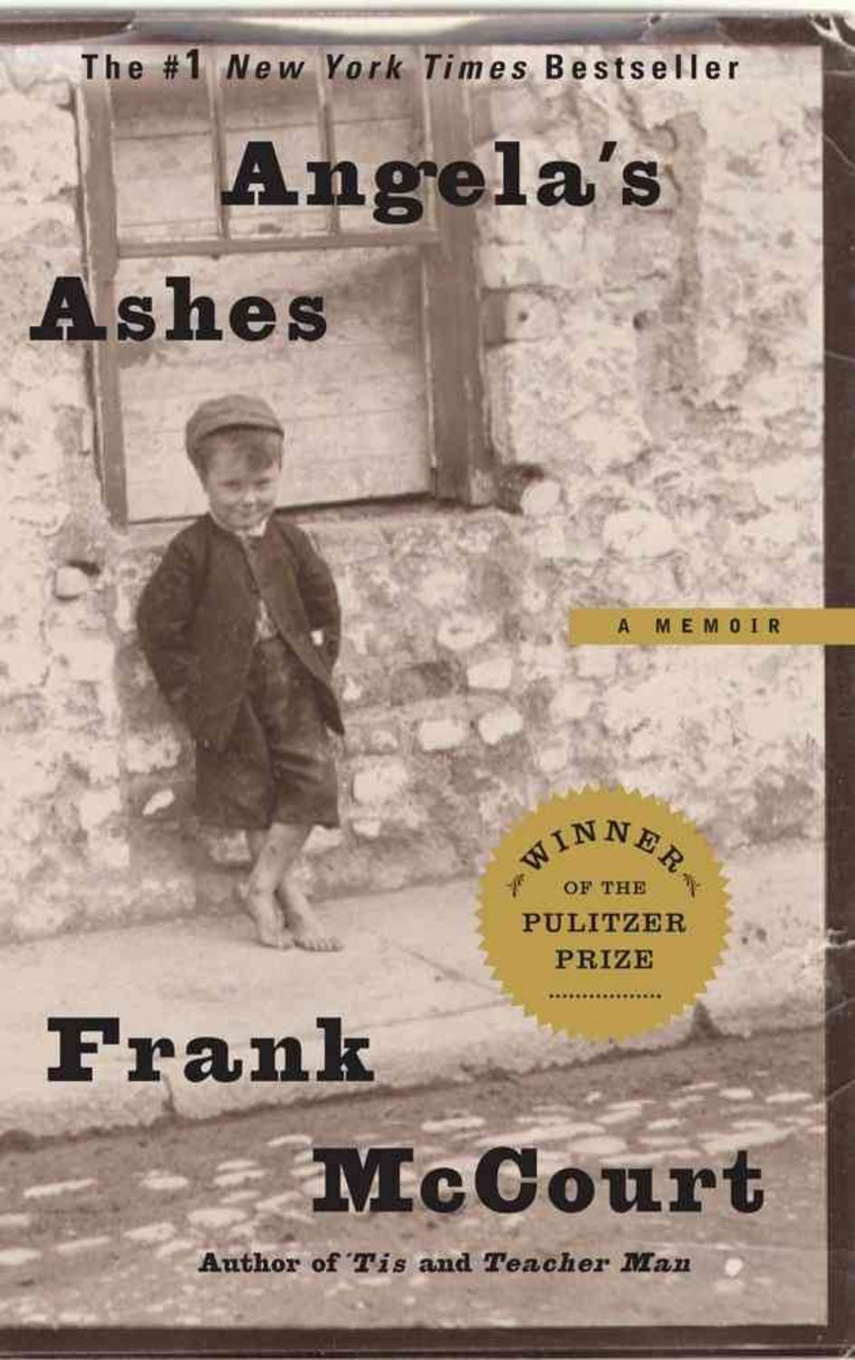 Angela's Ashes / Frank McCourt